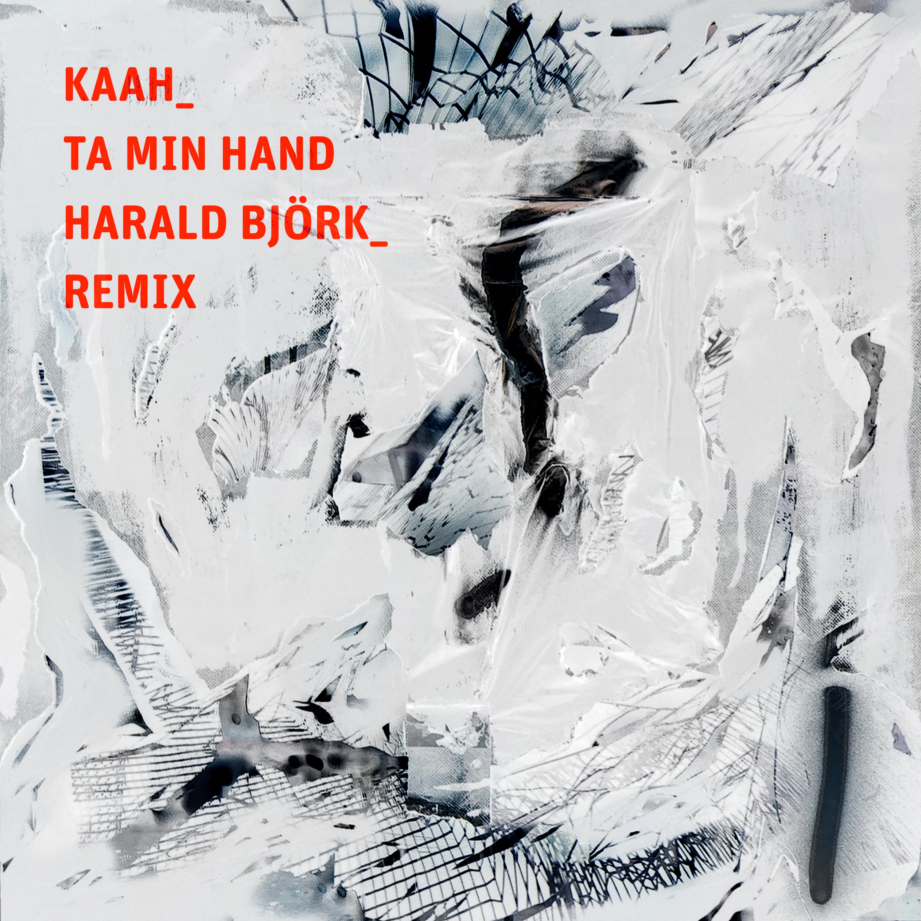 Ta Min Hand Harald Bj rk Remix