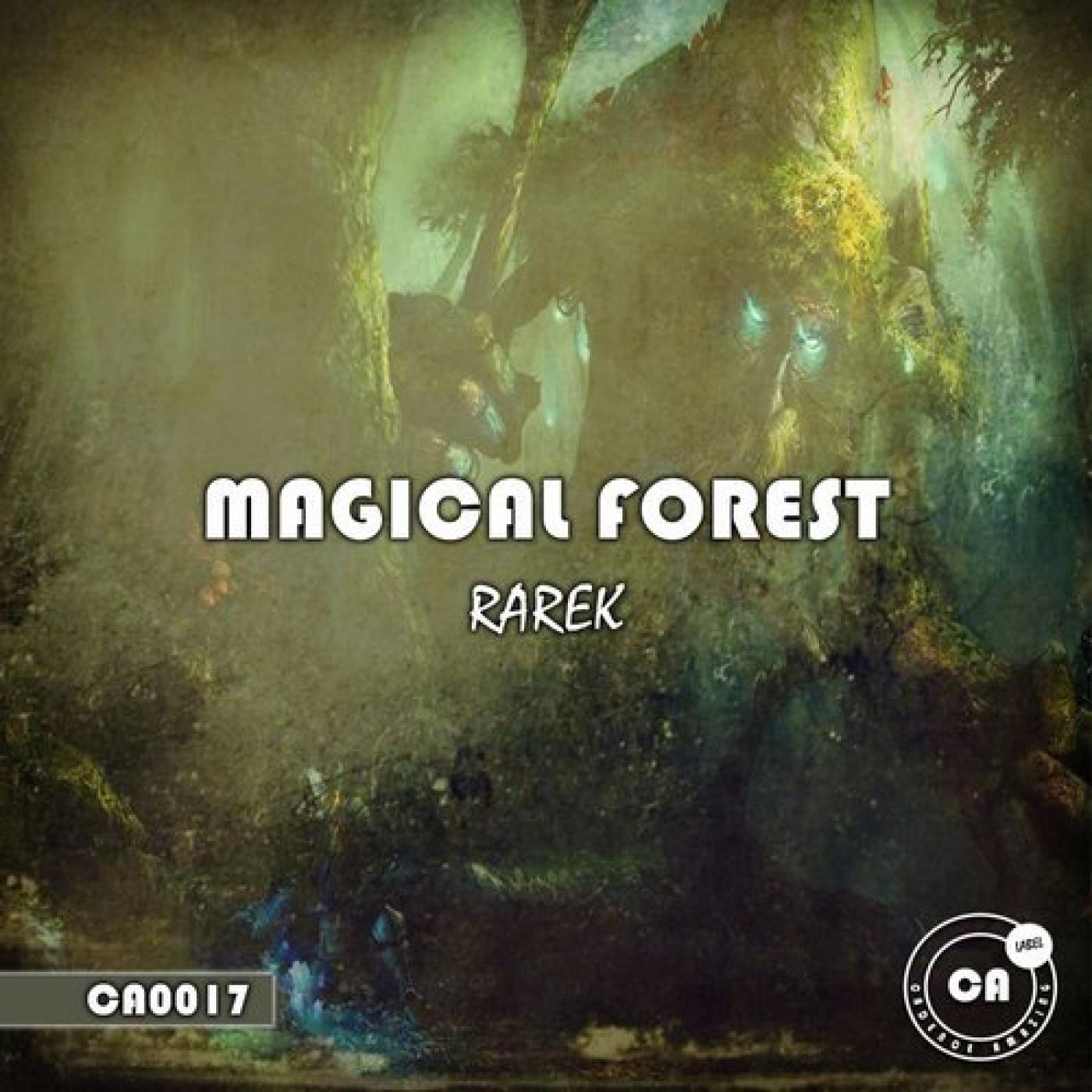 Magical Forest