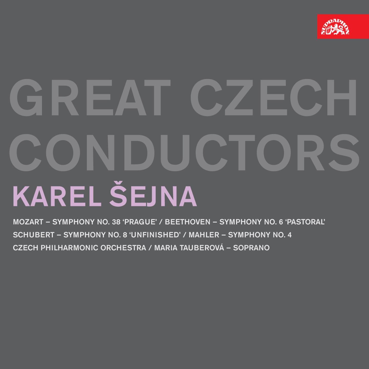 Karel ejna. Great Czech Conductors