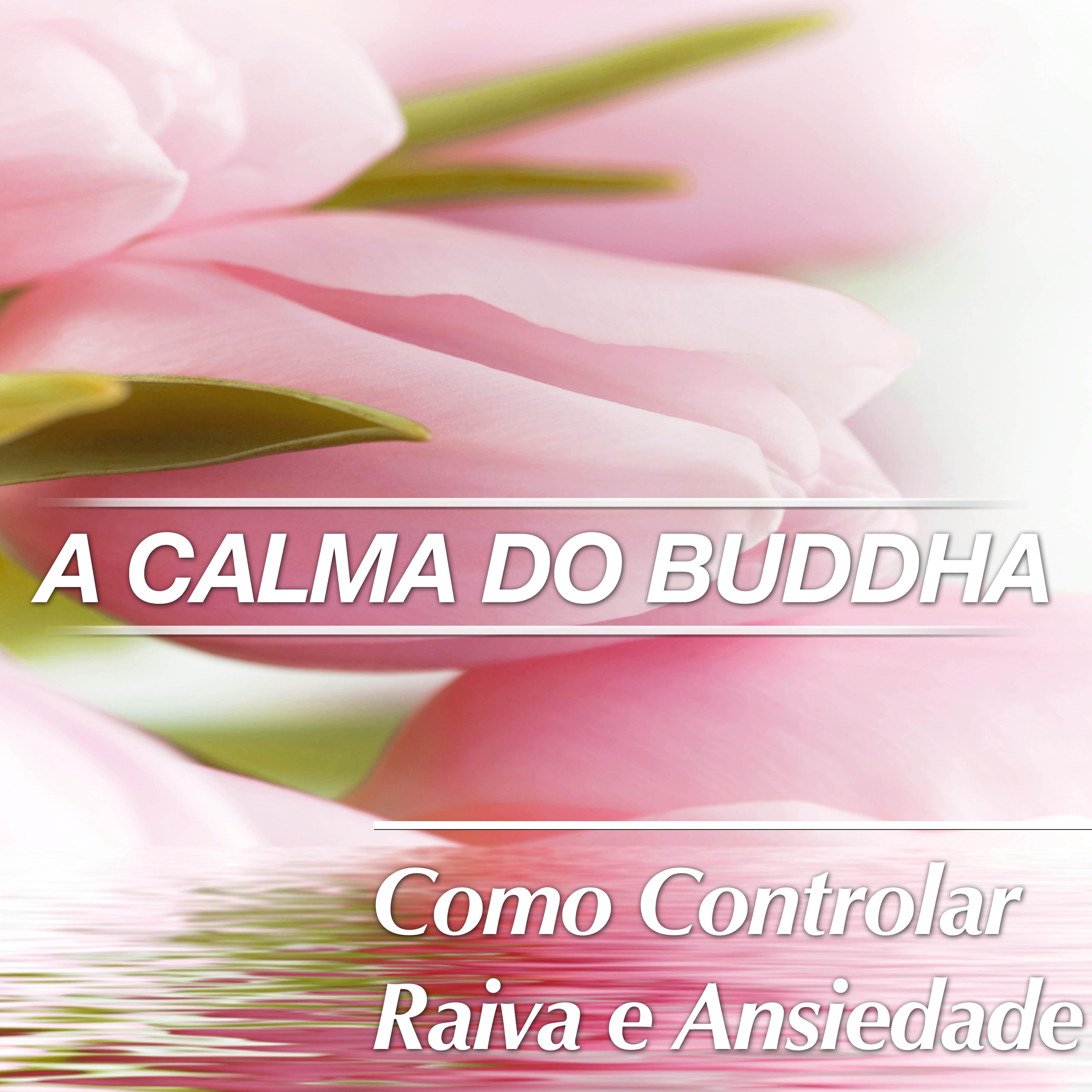 A Calma do Buddha: Como Controlar a Raiva e Ansiedade para Dormir Bem com Mu sica Relaxante