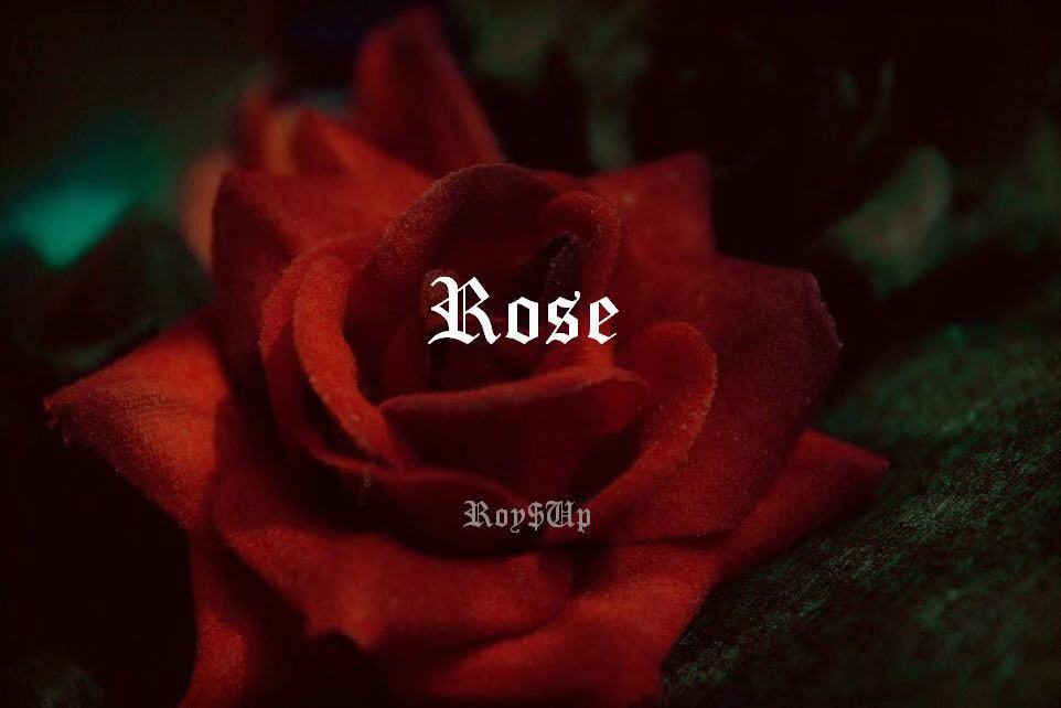 rose prod by Roy up