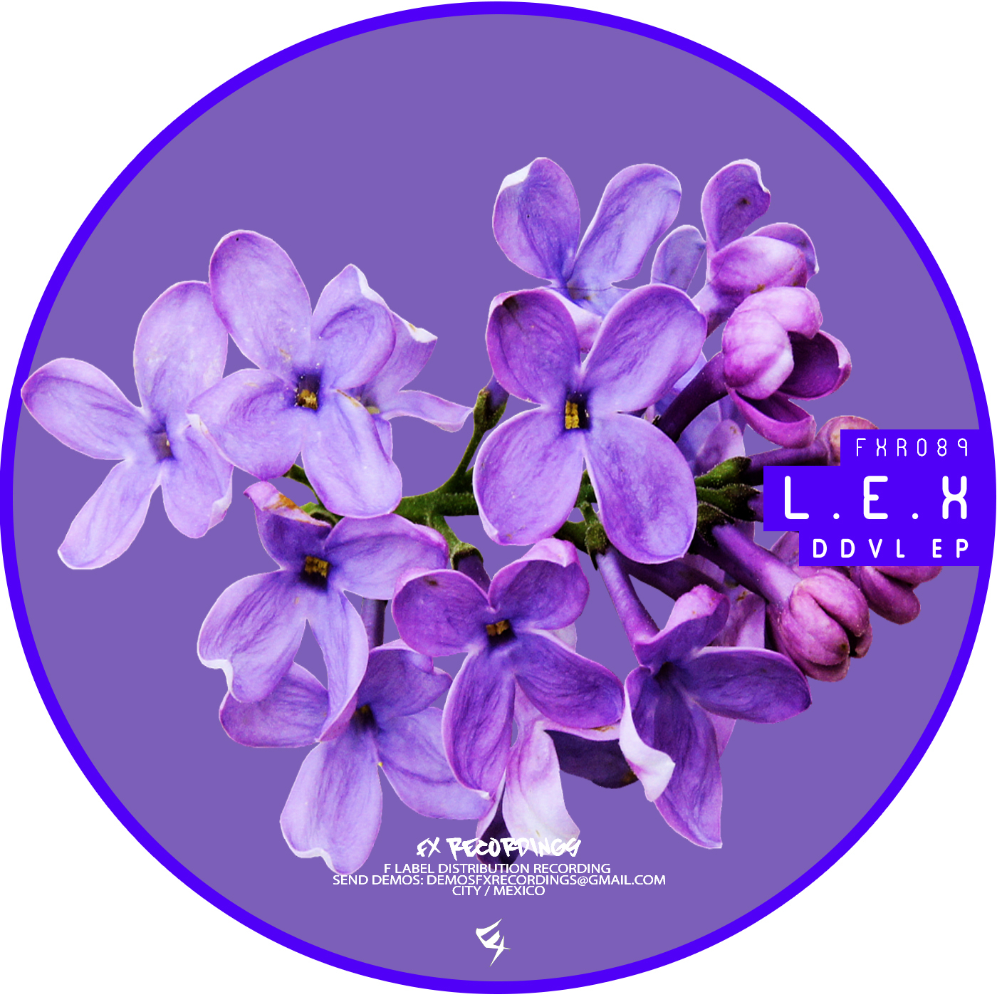 DDVL (Ragde Santos Remix)
