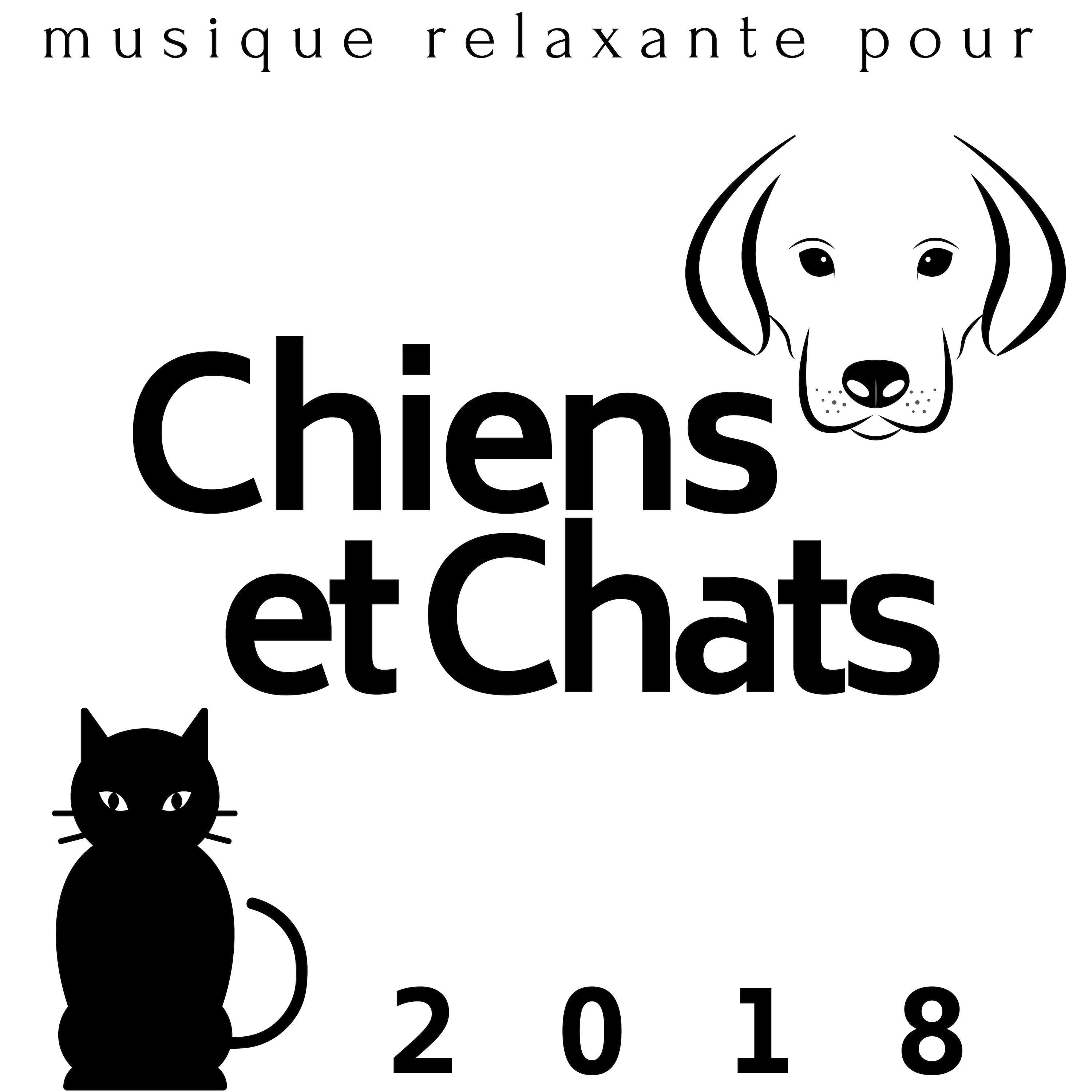 Musique pour Chats