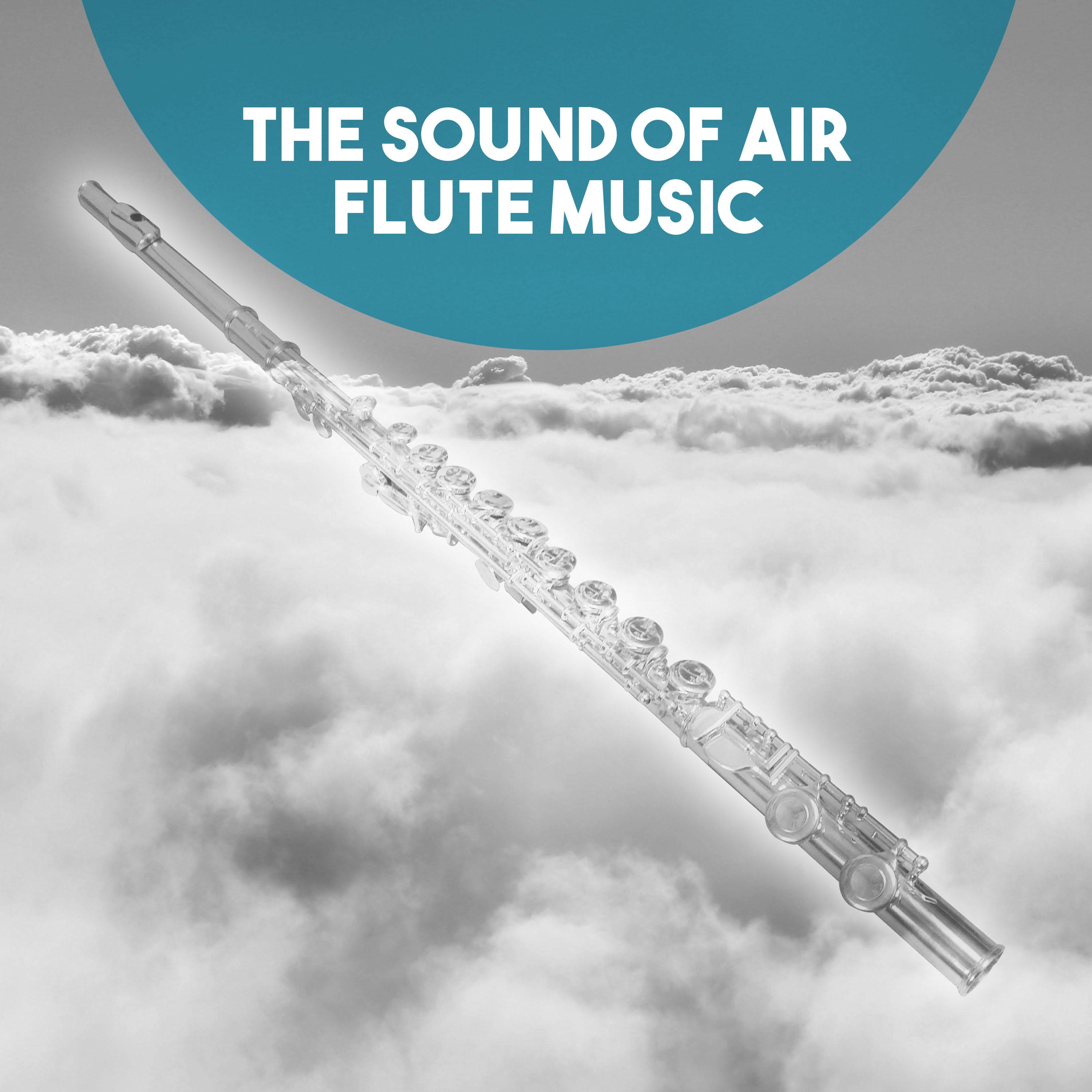 The Sound of Air: Flute Music