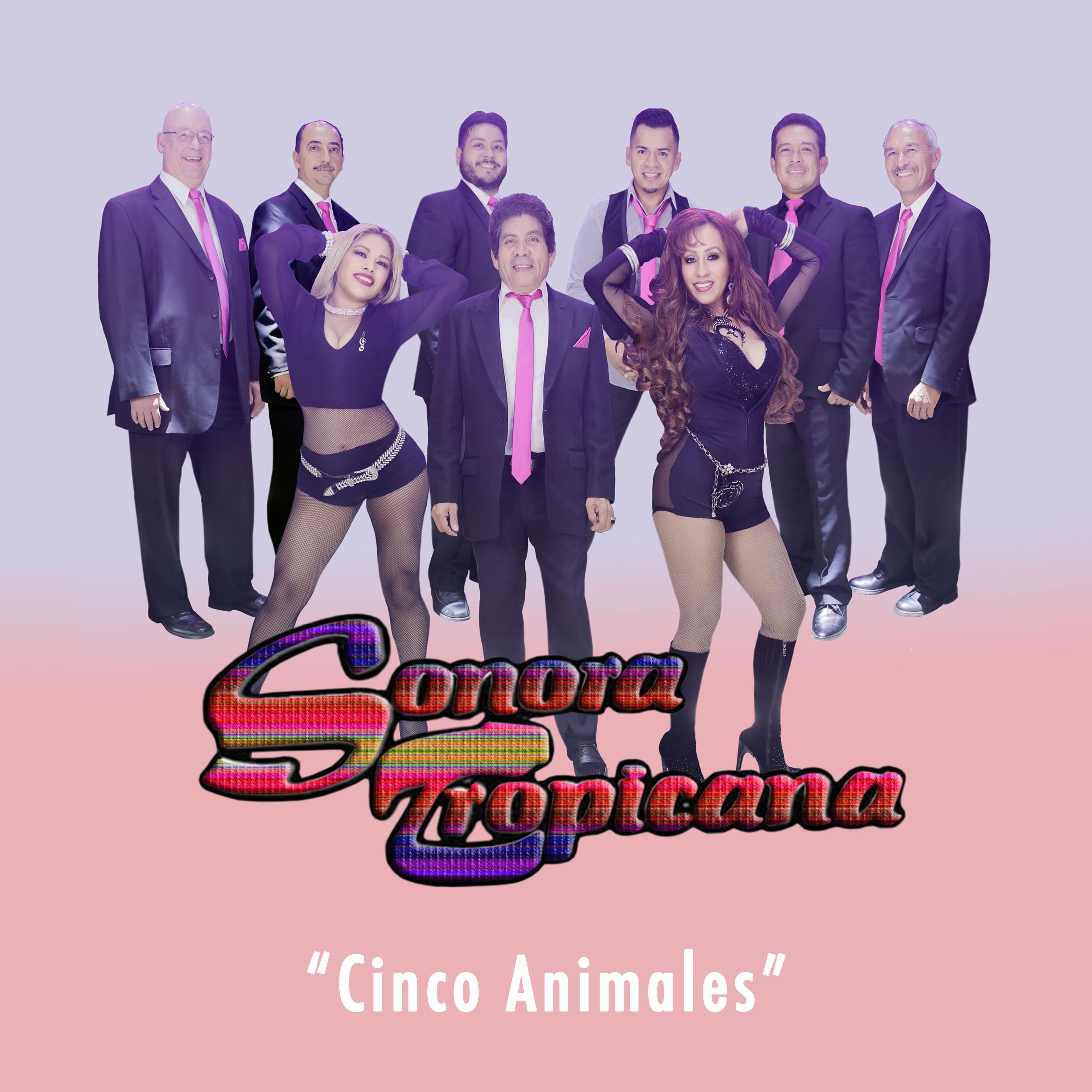 Cinco Animales