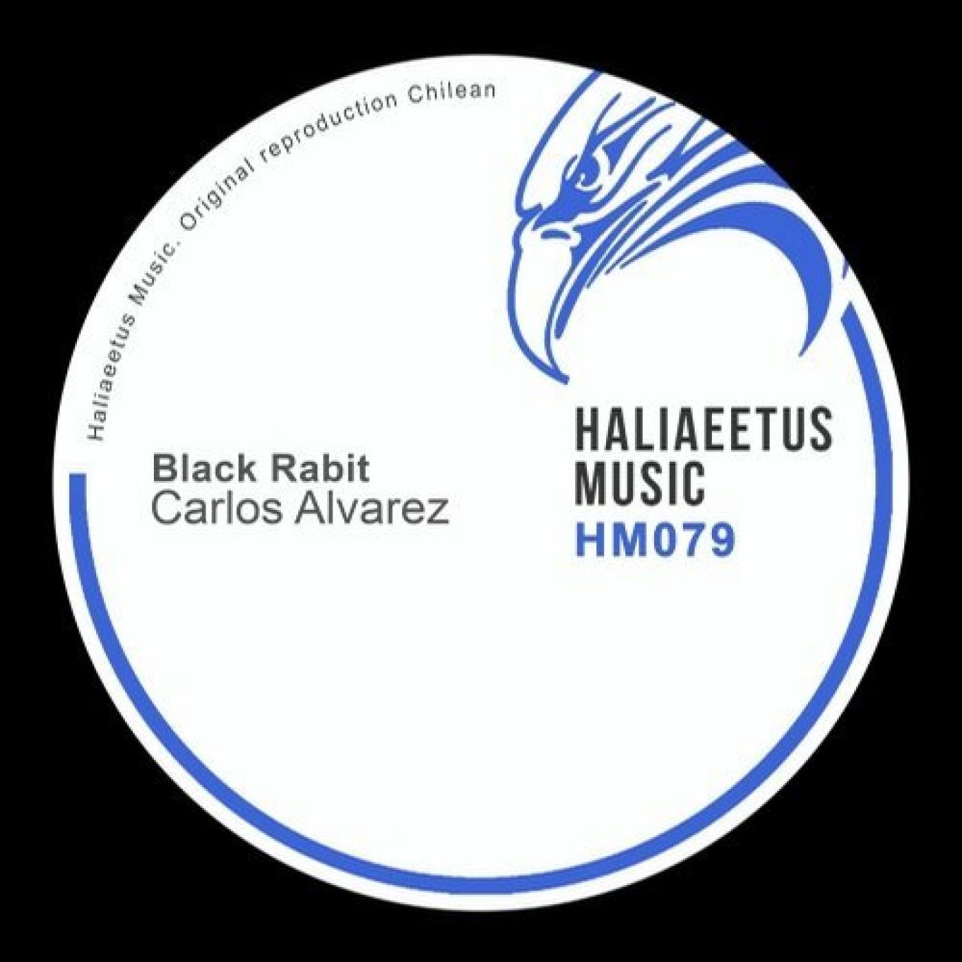 Black Rabit (Original Mix)