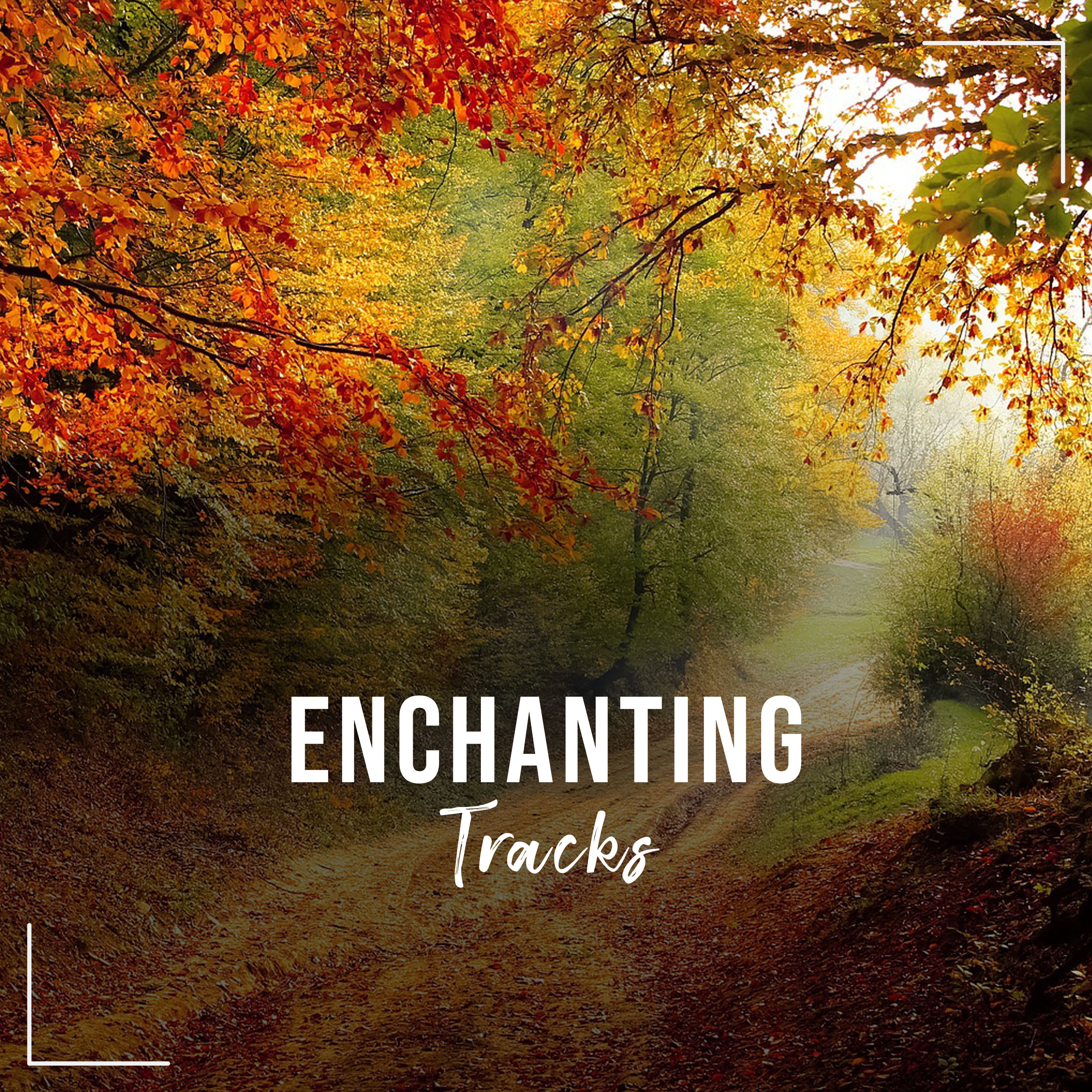 #2018 Enchanting Tracks for Reiki & Relaxation