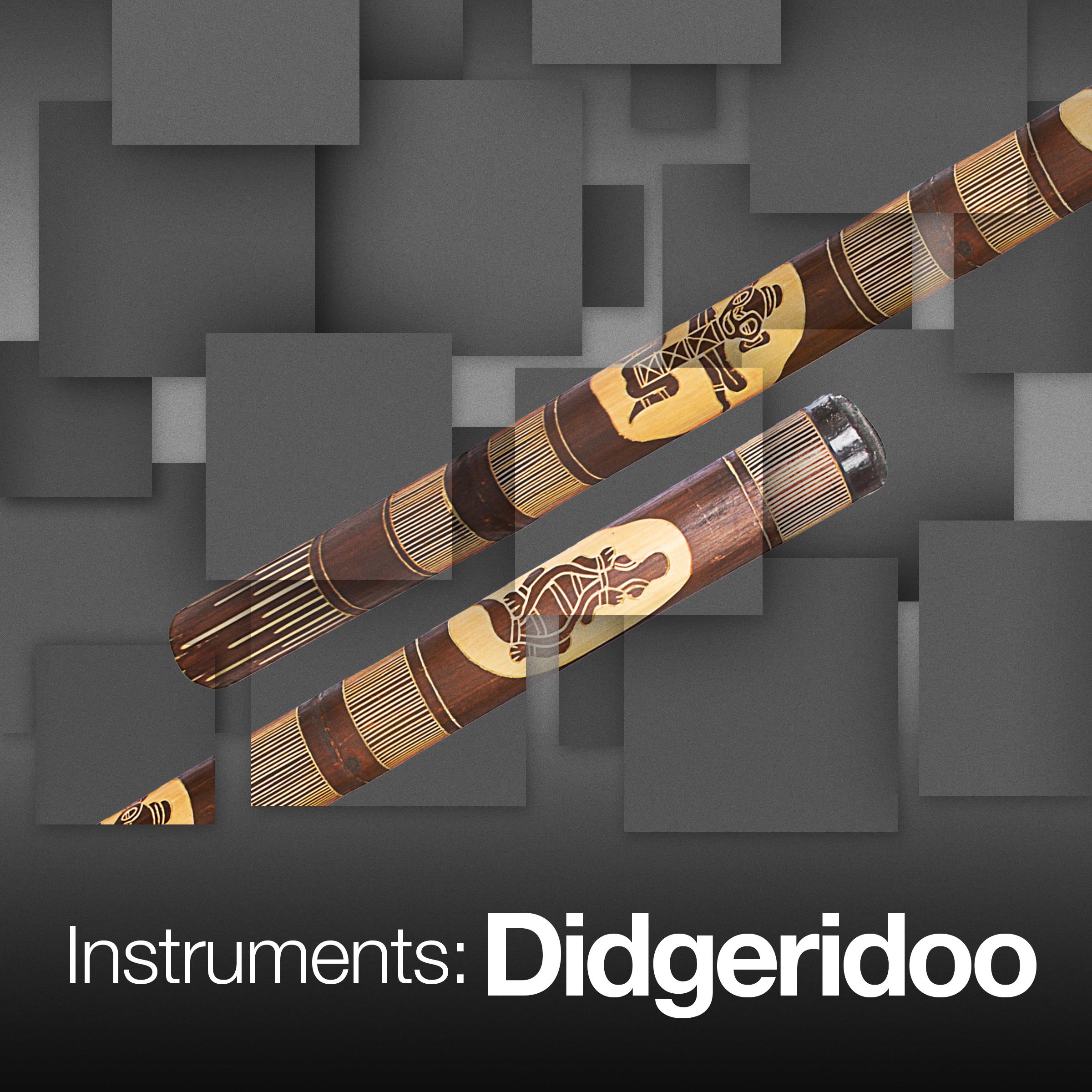 Instruments Didgeridoo