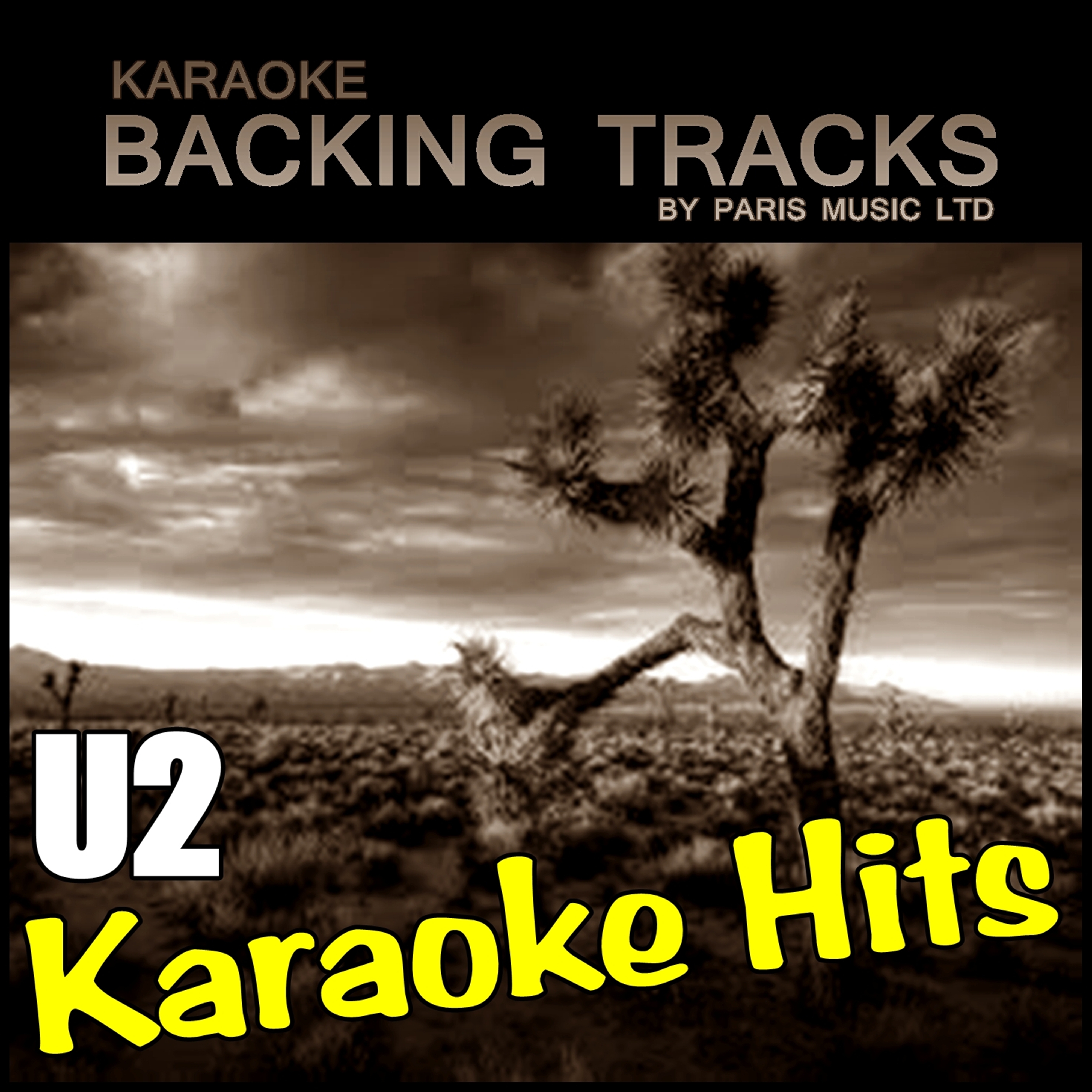 Sometimes You Can't Make It On Your Own (Originally Performed By U2) [Karaoke Version]