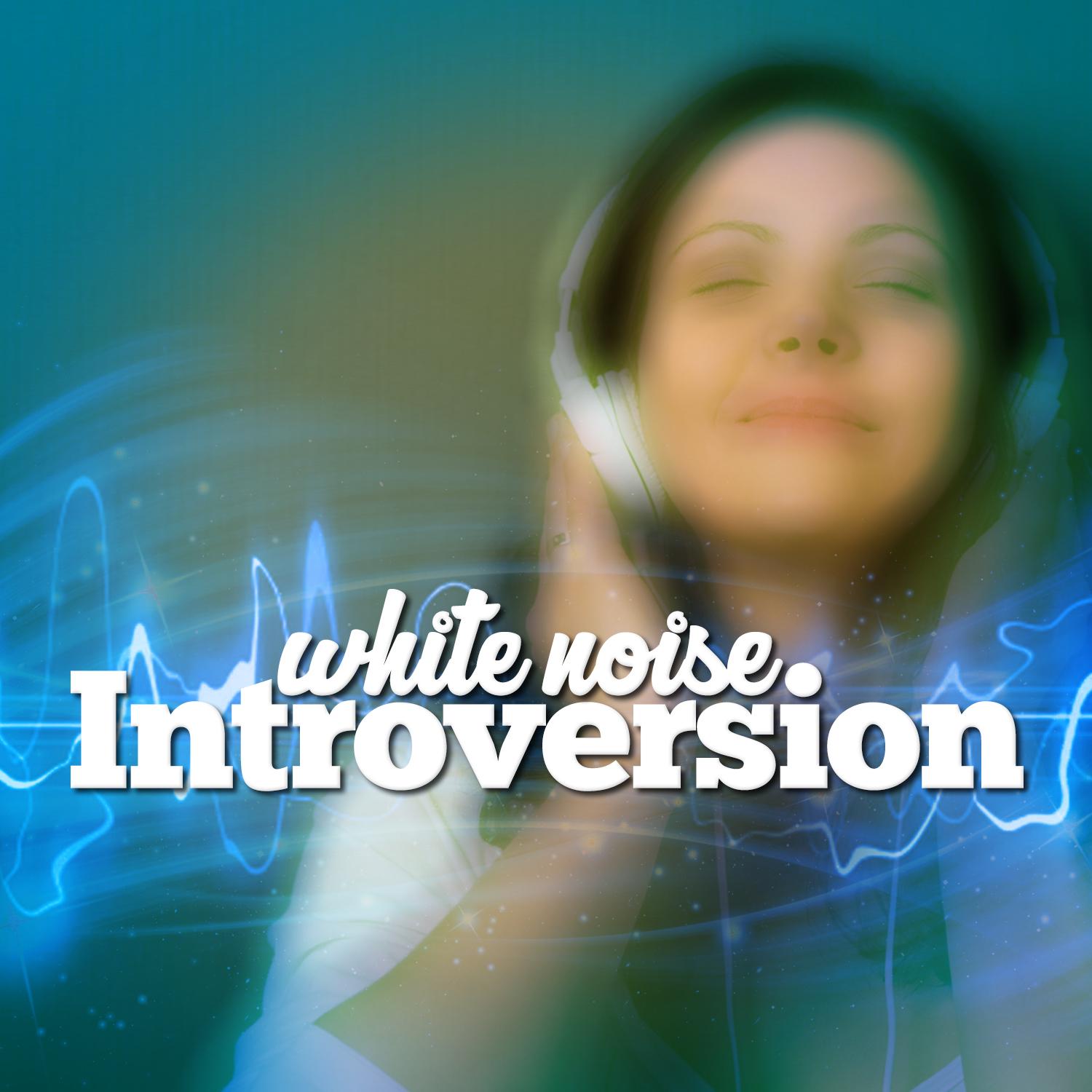 White Noise: Introversion