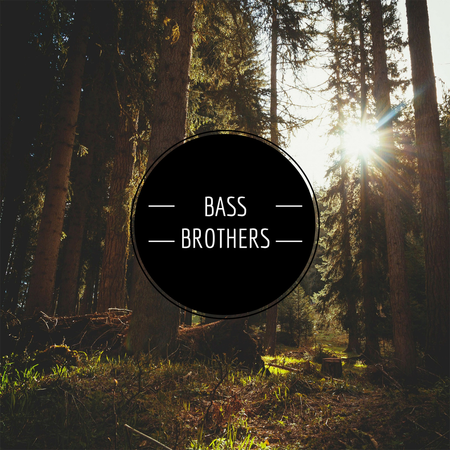 Bass Brothers