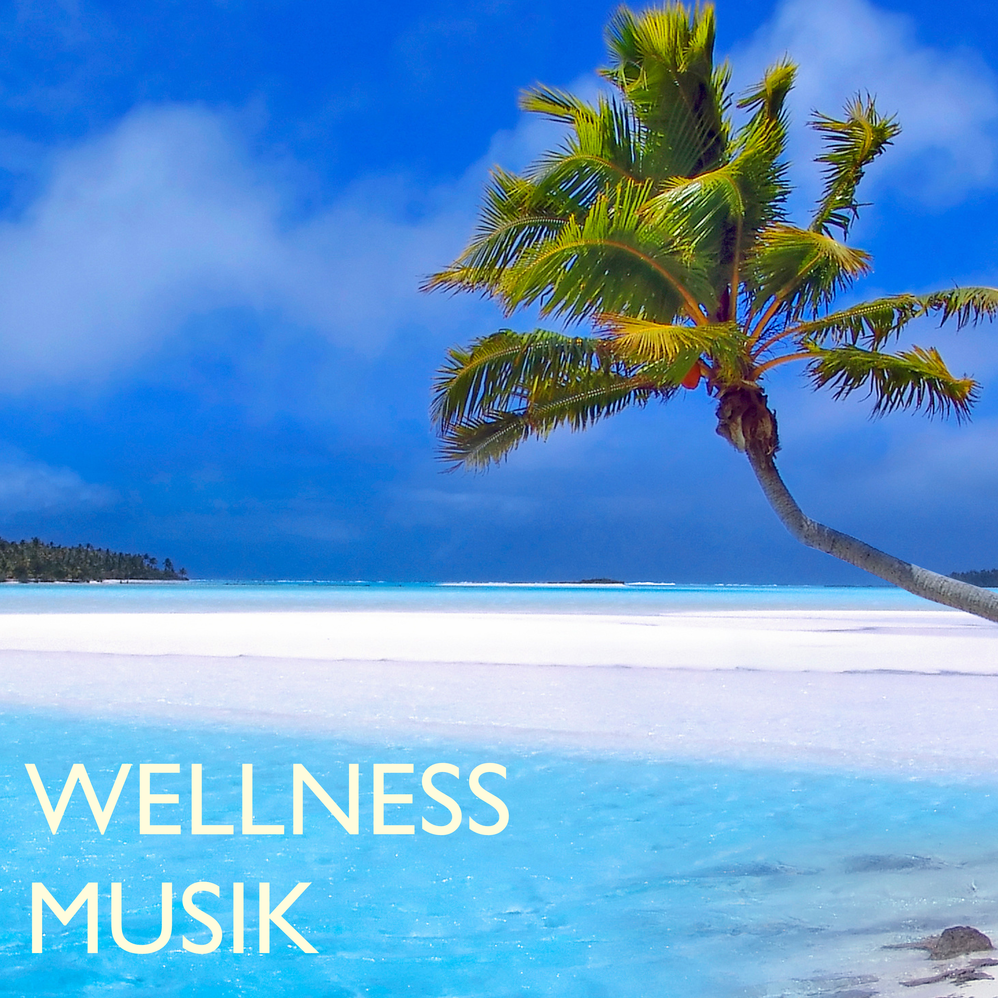 Stillness (Music for Relaxation Meditation and Holistic Health)