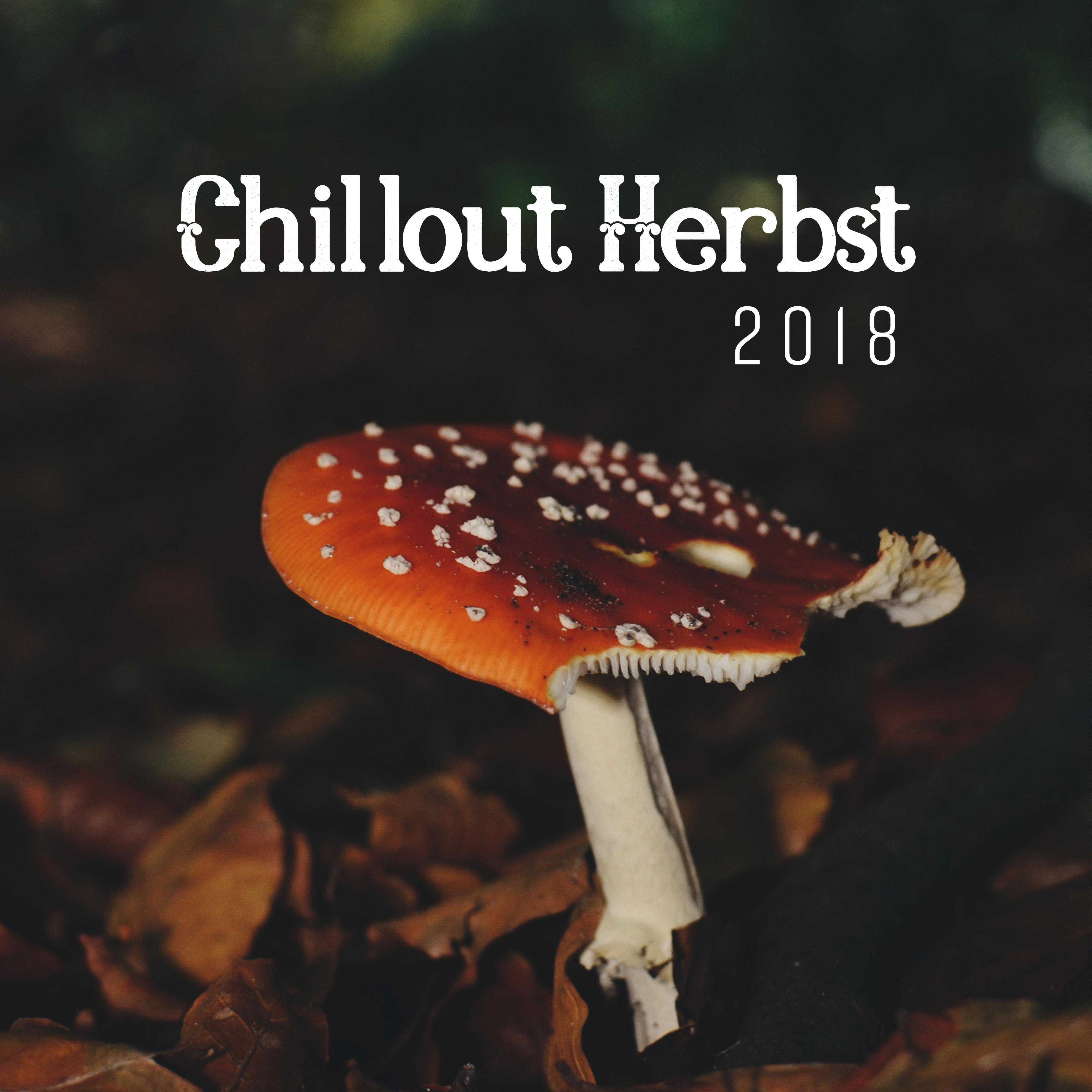 Chillout Herbst 2018: Musik fü r Herbstabende
