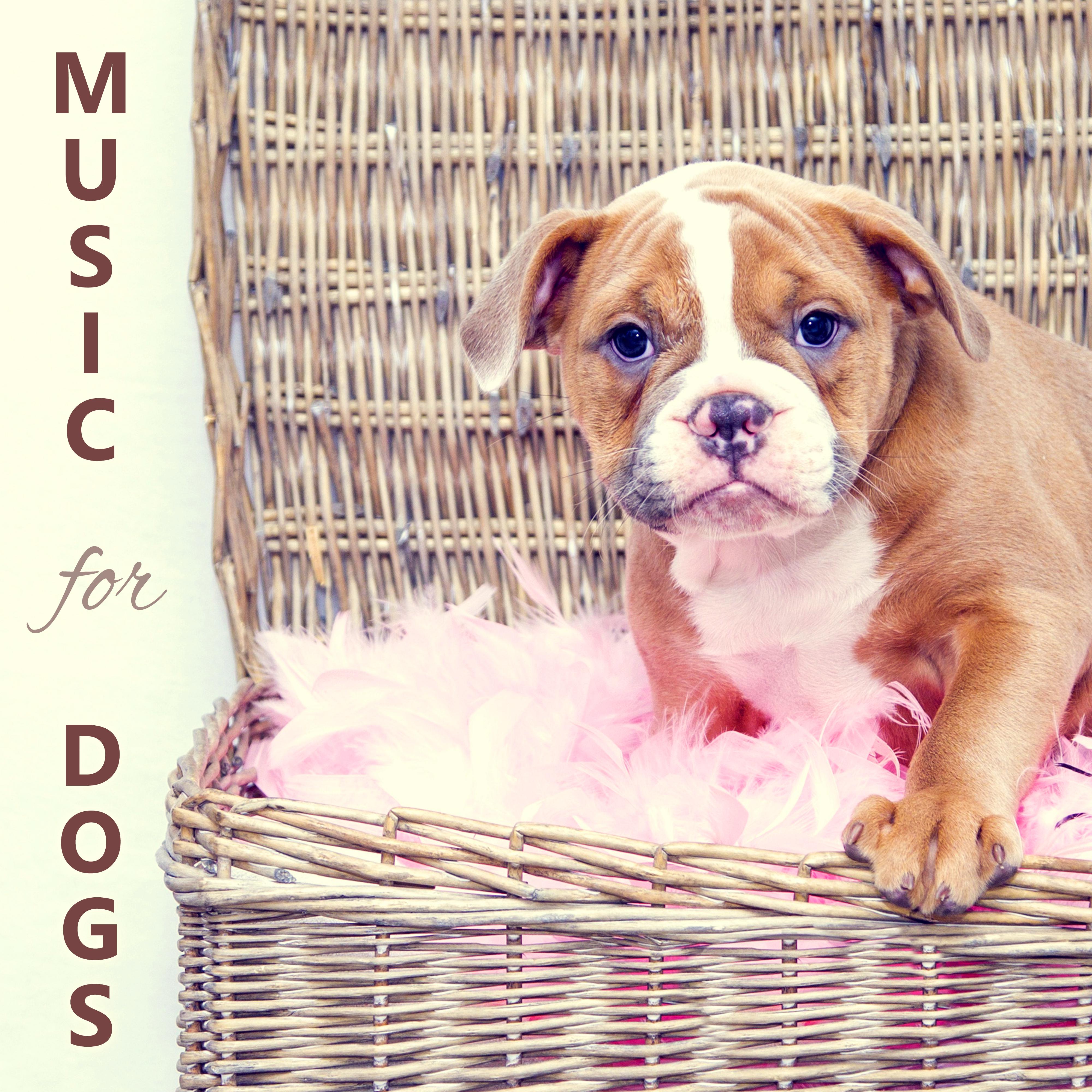 Music for Dogs  Relax, Calm Down, Stress Relief, Pet Relaxation, Sleep Aids, Music Therapy for Dogs, Meditation, Happiness, Nature Sounds, Calming Music