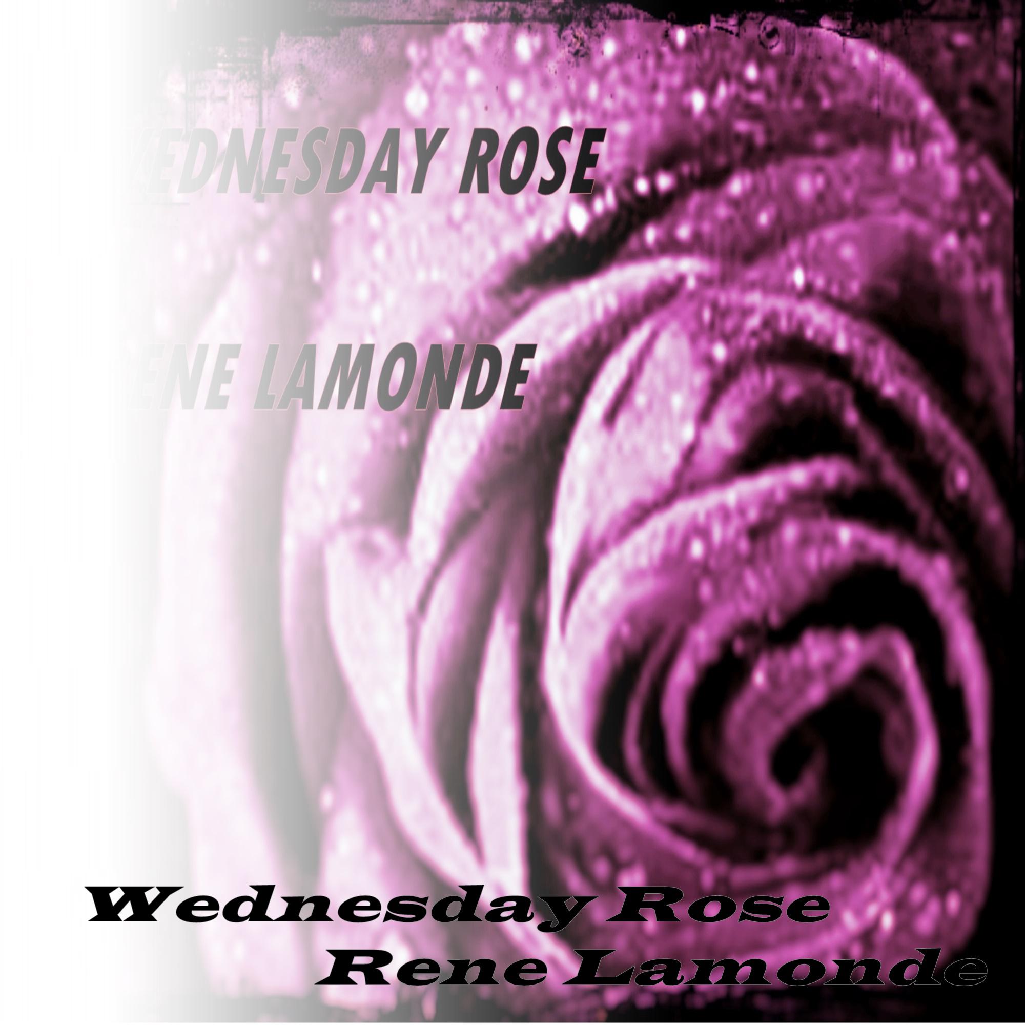 Wednesday Rose (Rainy Day)