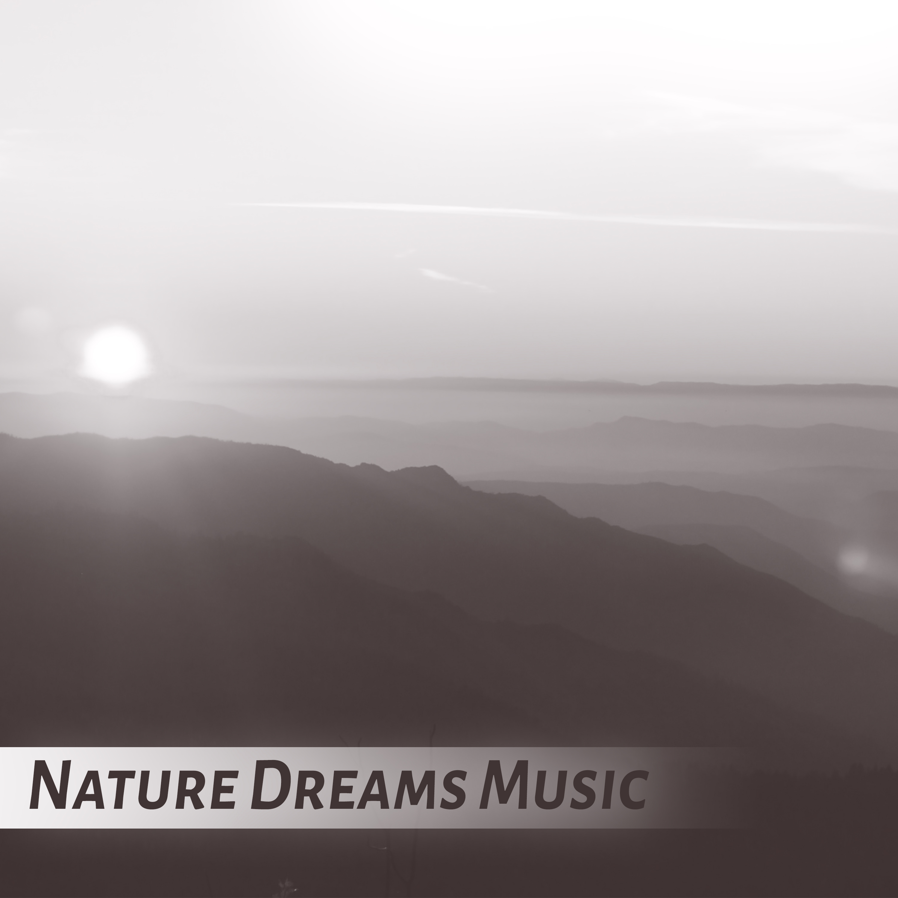 Nature Dreams Music - Inspiring Music for Relaxation, Concentration, Meditation and Focus on Learning, Instrumental Relaxing music for Reading, Background Calm Music