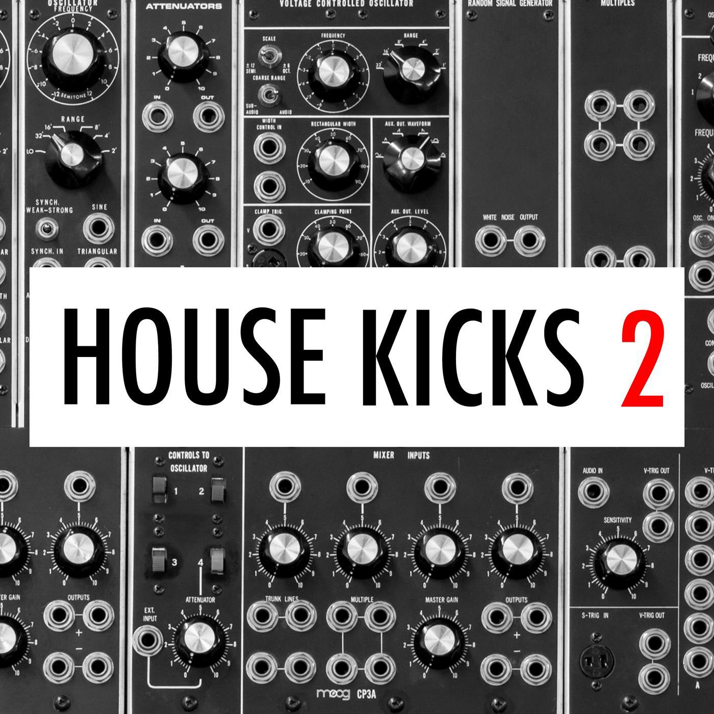 IbzKngs House Kicks 033