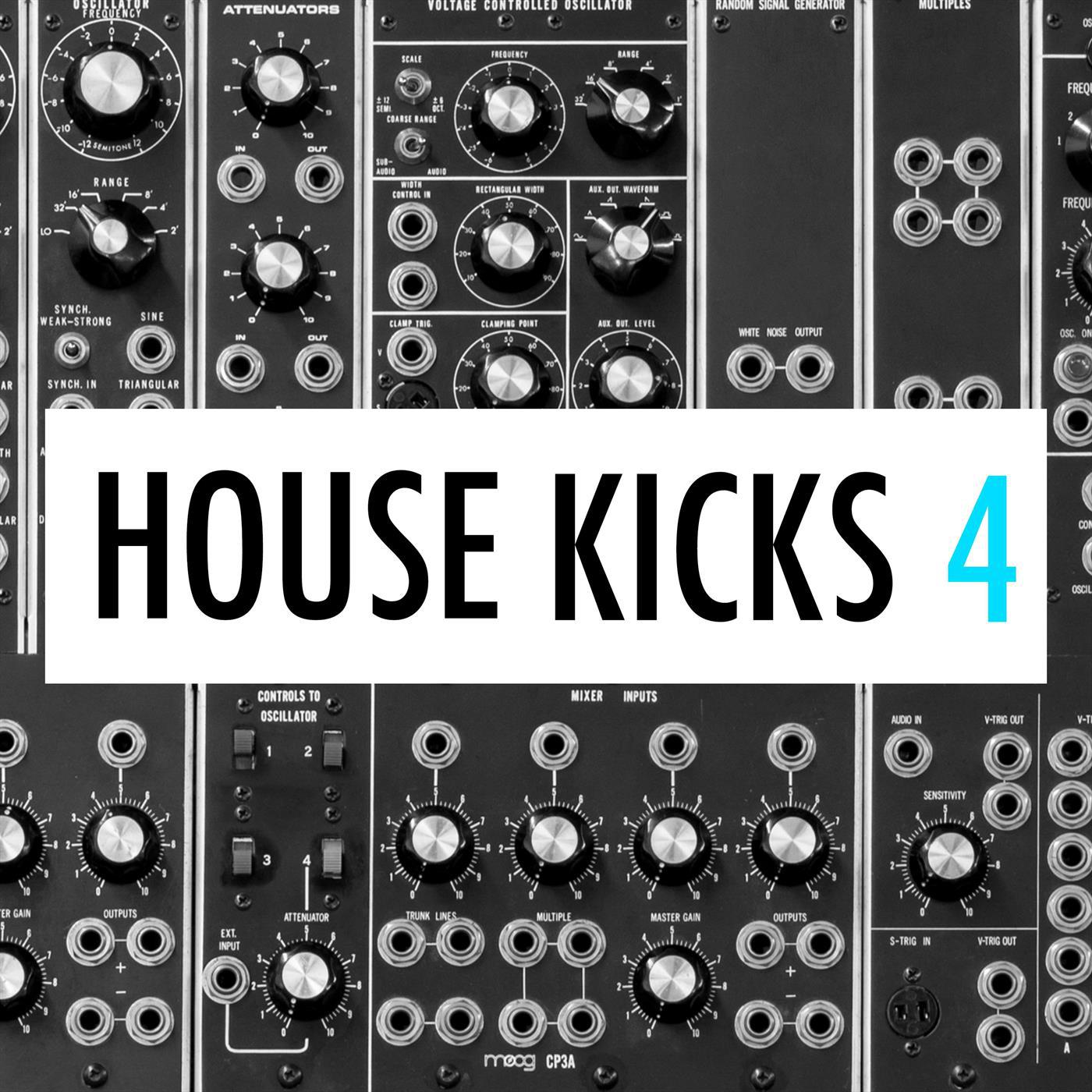 IbzaKngs House Kicks 082