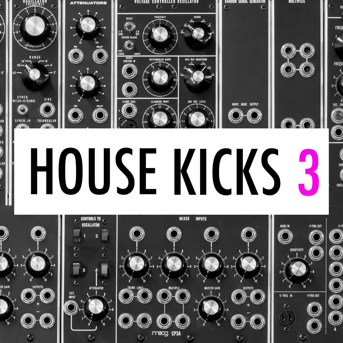 IbzaKngs House Kicks 053