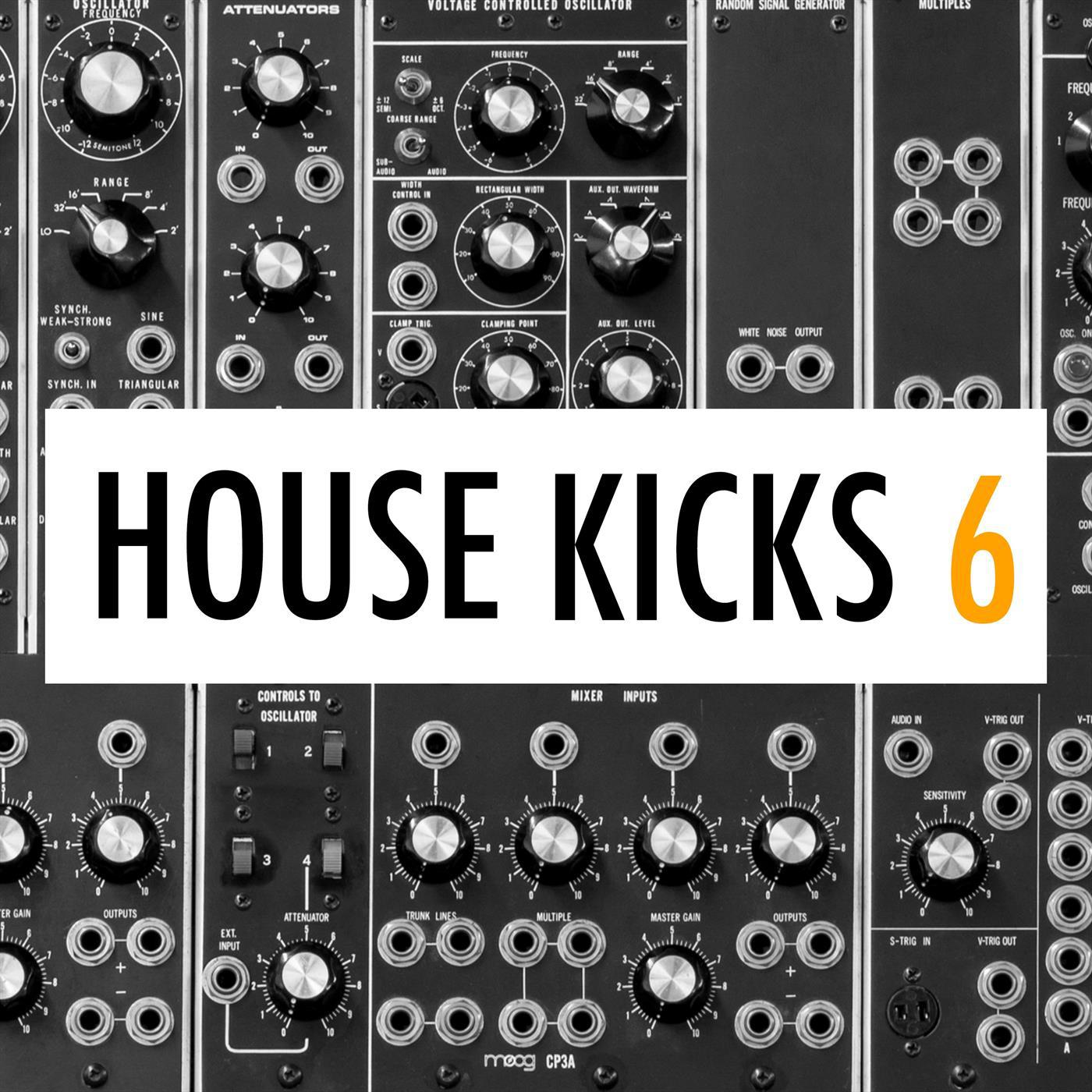 IbzaKngs House Kicks 131