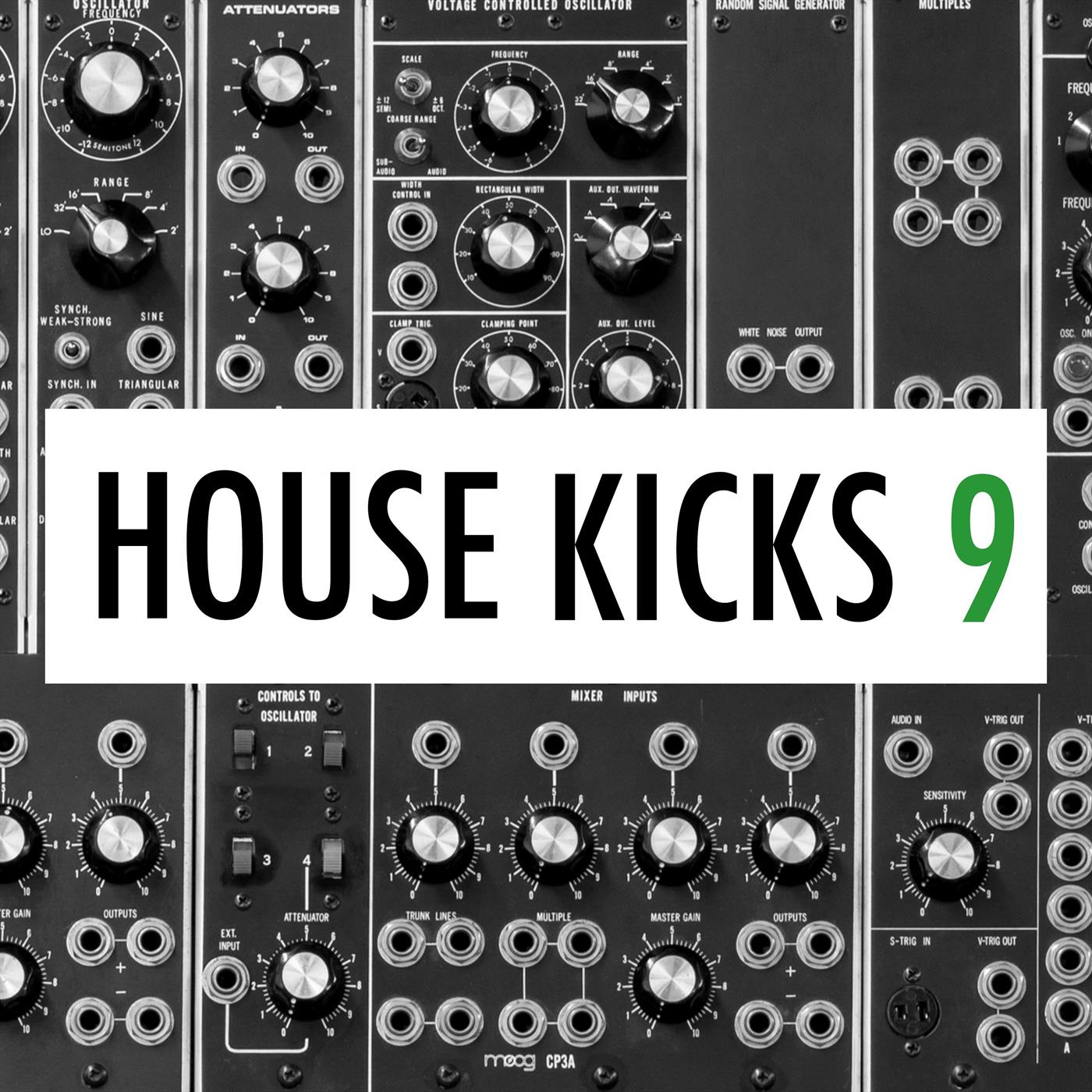 IbzaKngs House Kicks 206