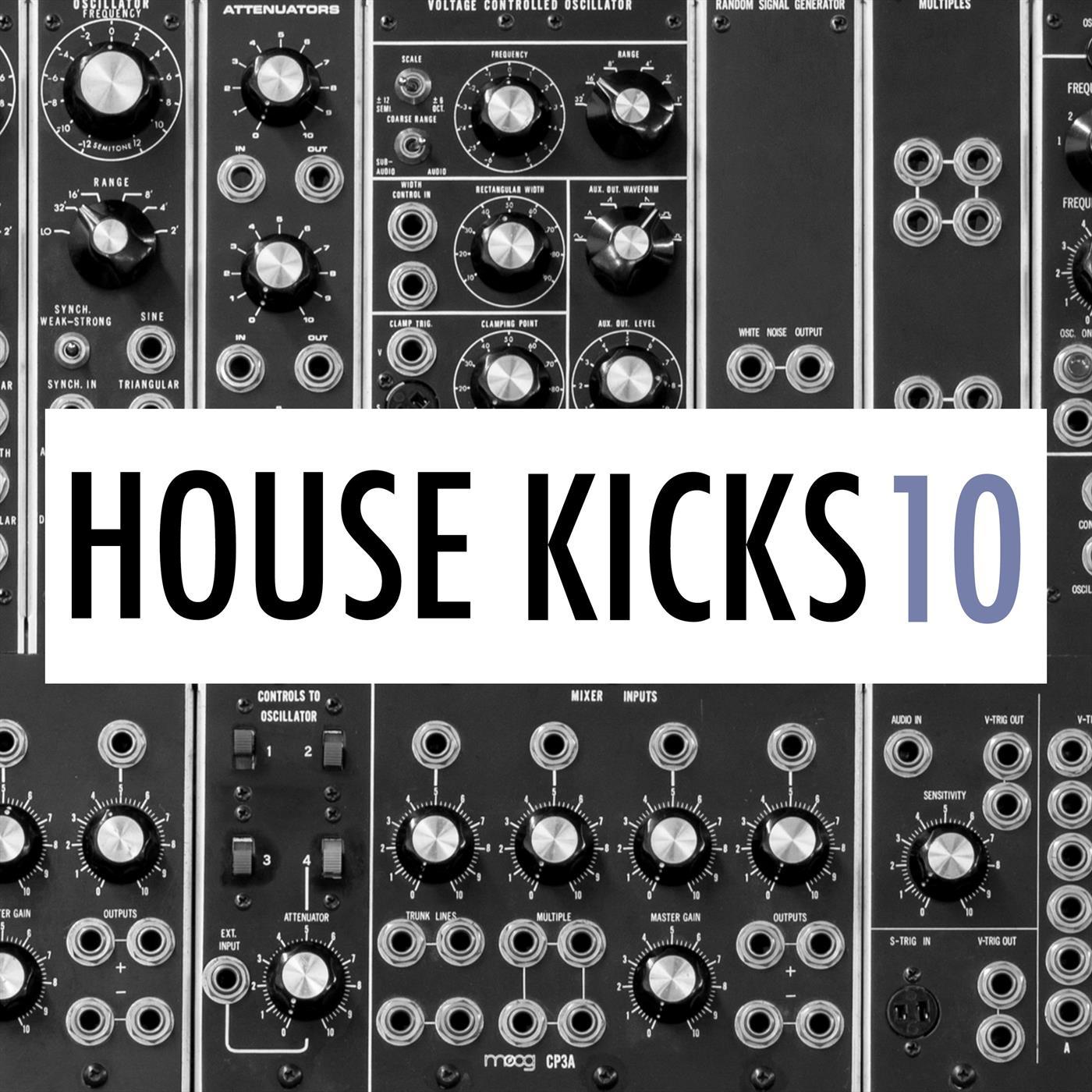 IbzaKngs House Kicks 228