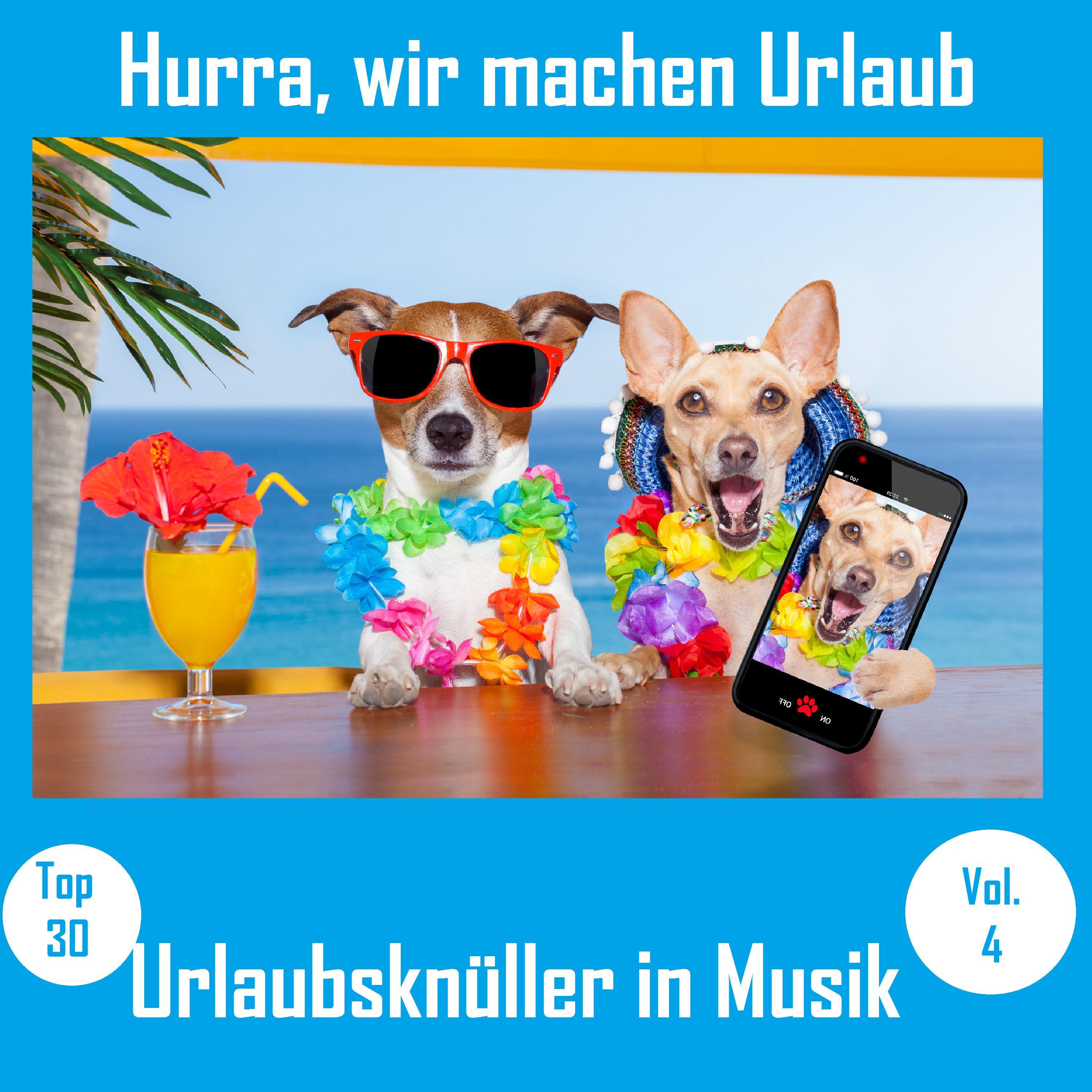 Top 30: Hurra, wir machen Urlaub  Urlaubsknü ller in Musik, Vol. 4