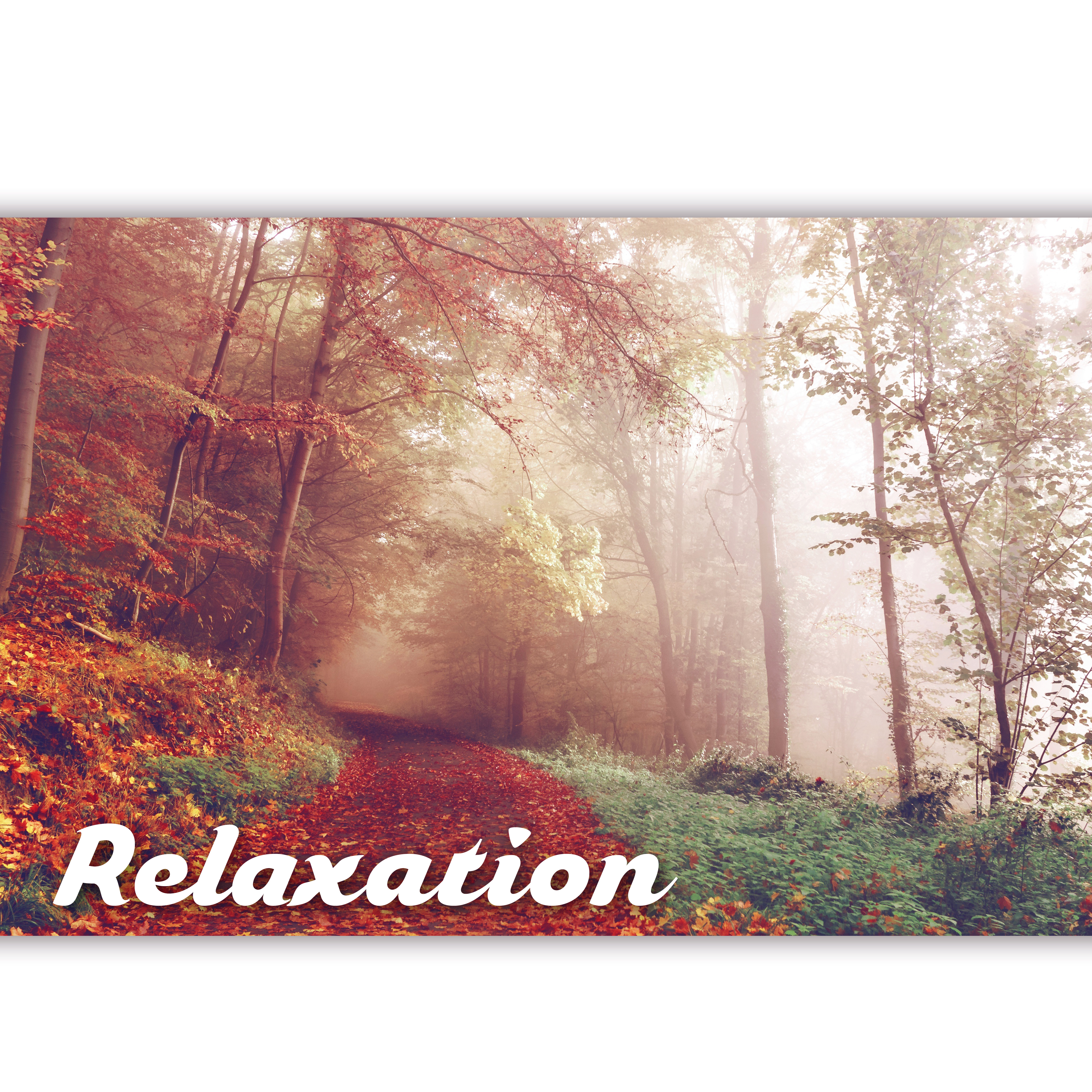 Relaxation - Wellness Music Spa, Pure Mind and Body with Healing Massage Music, Harmony of Senses