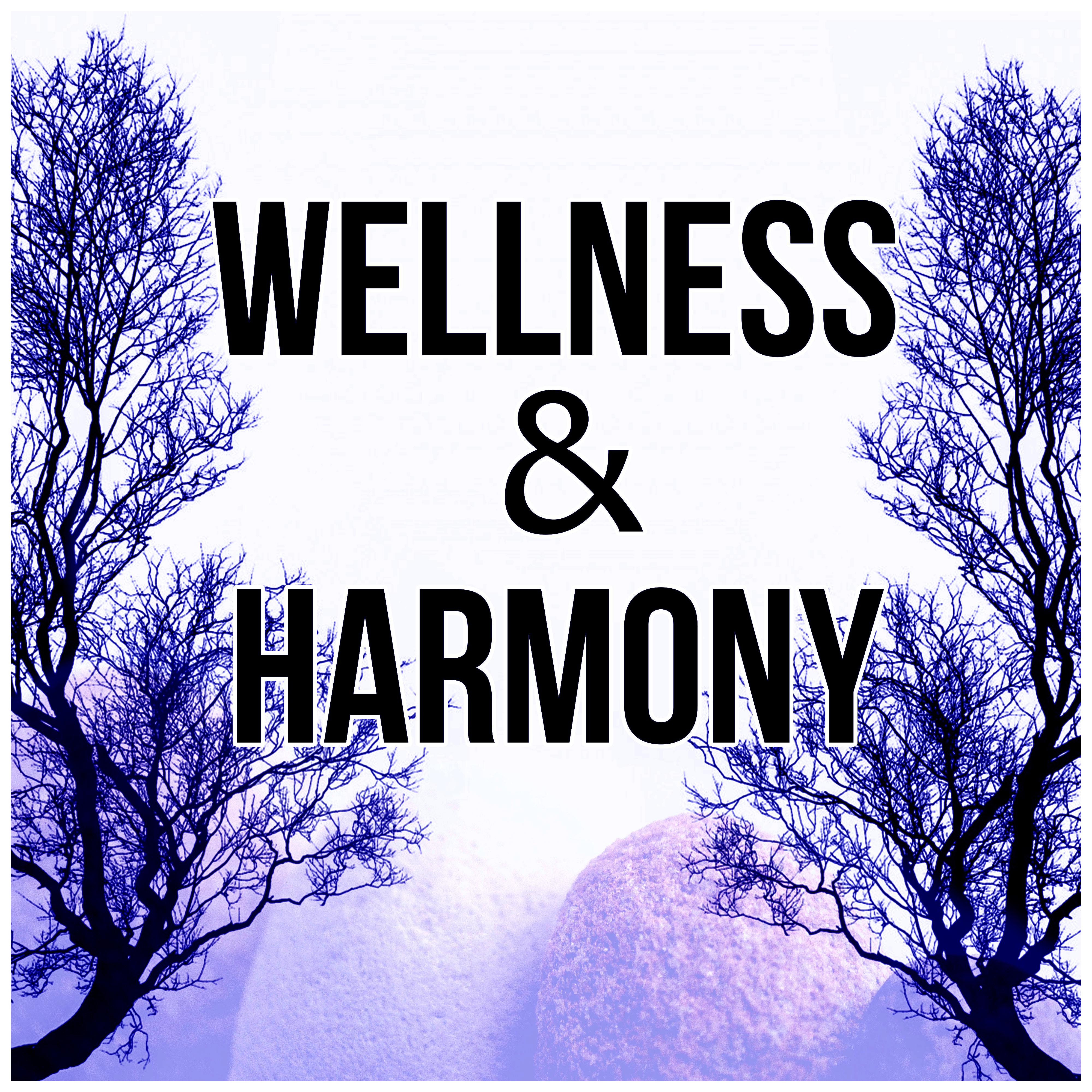Wellness & Harmony - Music and Pure Nature Sounds for Stress Relief, Harmony of Senses, Relaxing Background Music for Spa the Wellness Center, Sensual Massage Music for Aromatherapy