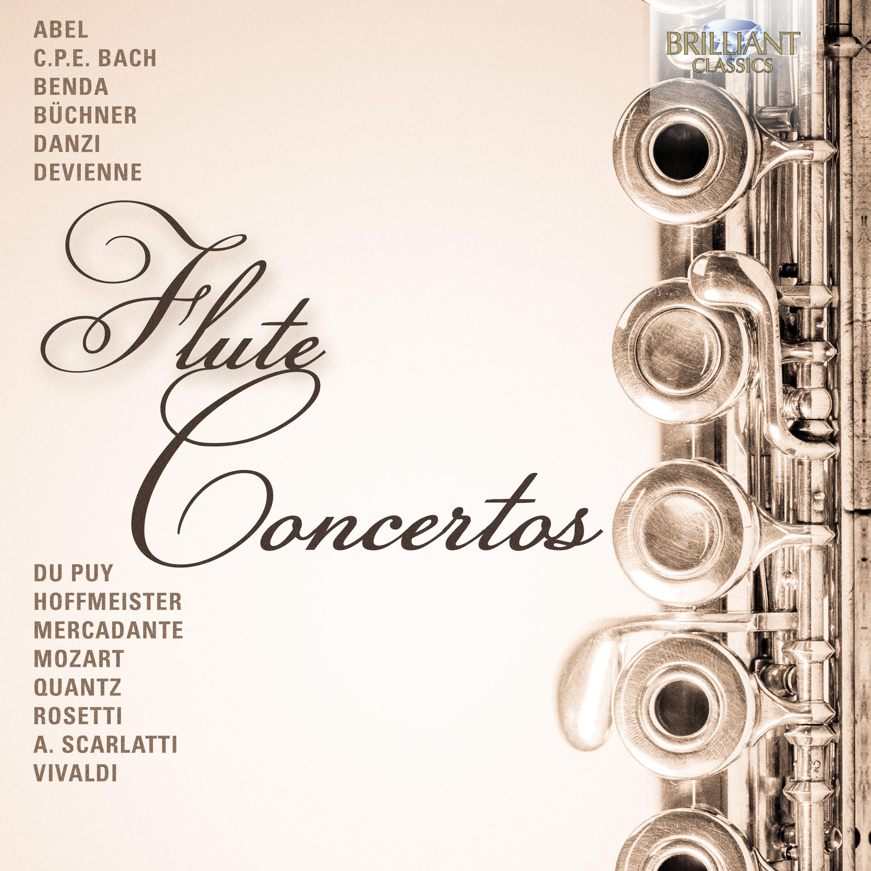 Flute Concerto in D Minor, Wq. 22: I. Allegro