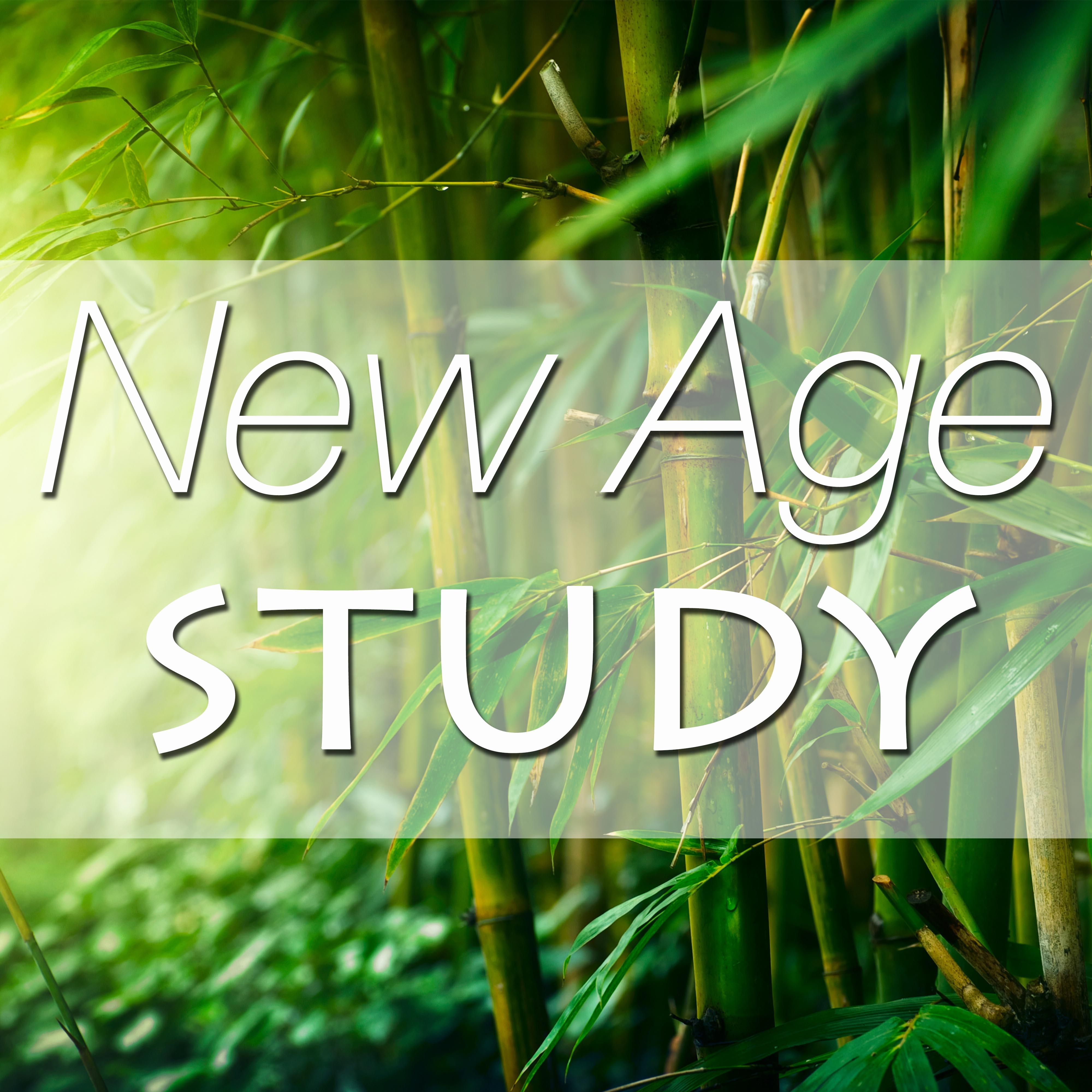 New Age Study - The Ultimate Study Music for Concentration, Focus, Peace of Mind and for Stimulating Creative Thinking with Sounds of Nature