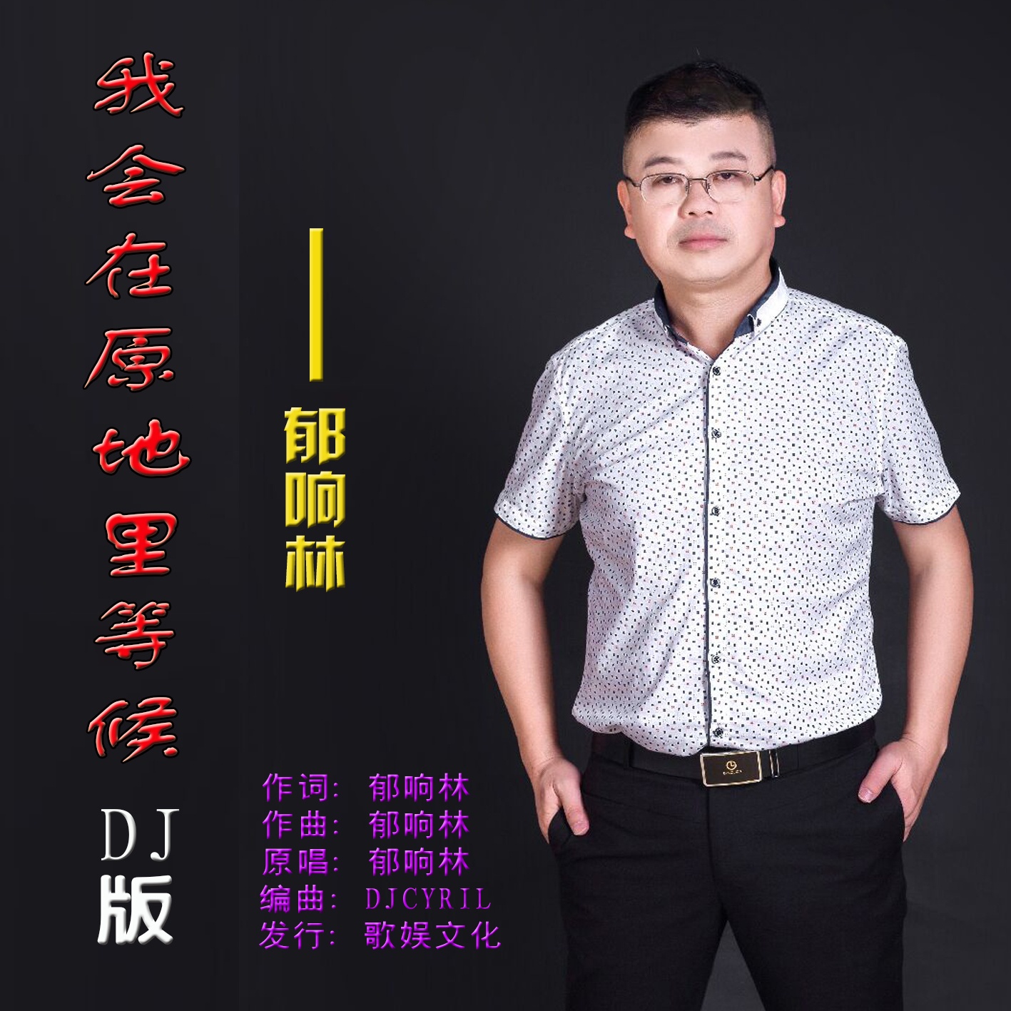 wo hui zai yuan di li deng hou DJ ban