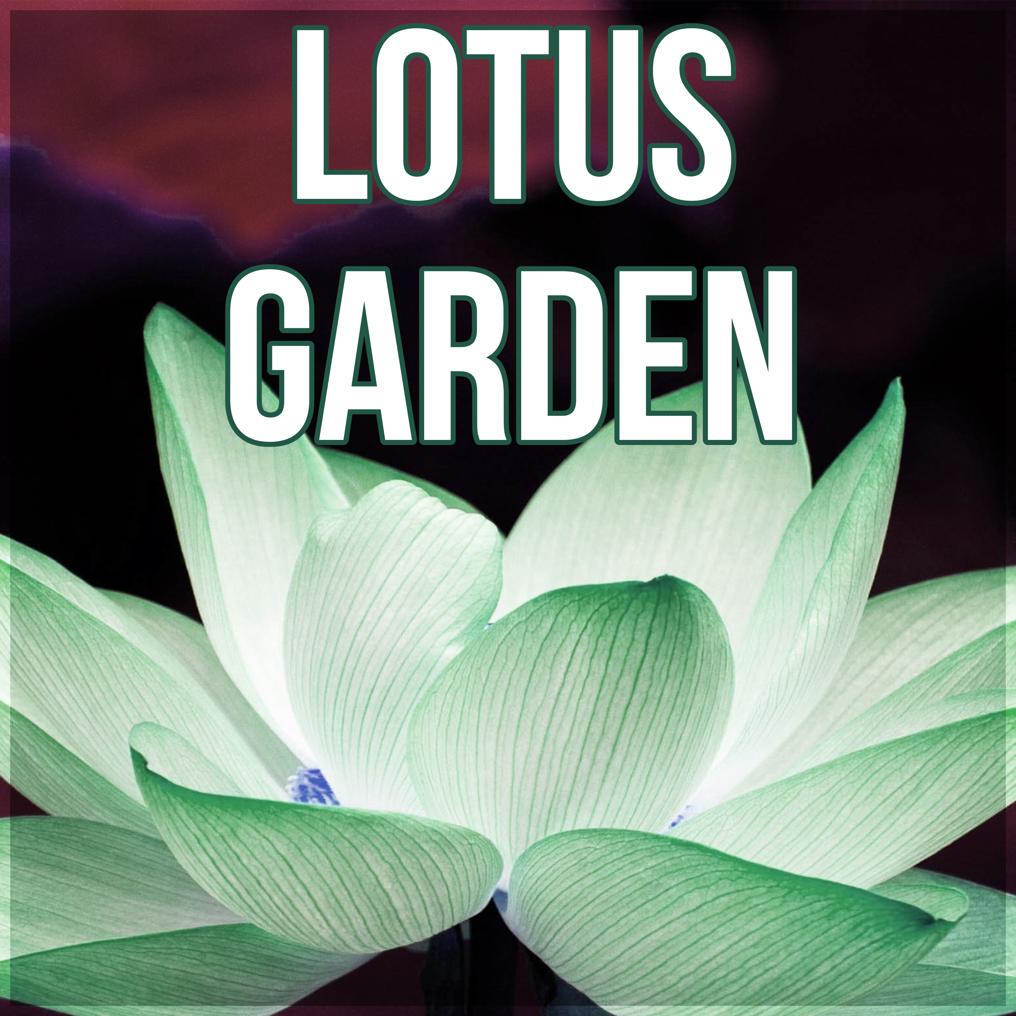 Lotus Garden - Luxury Spa, Elixir of Life, Relaxing Background Music for Spa the Wellness Center, Natural Music for Healing Through Sound and Touch, Tranquility Spa & Total Relax, Sensitive Massage