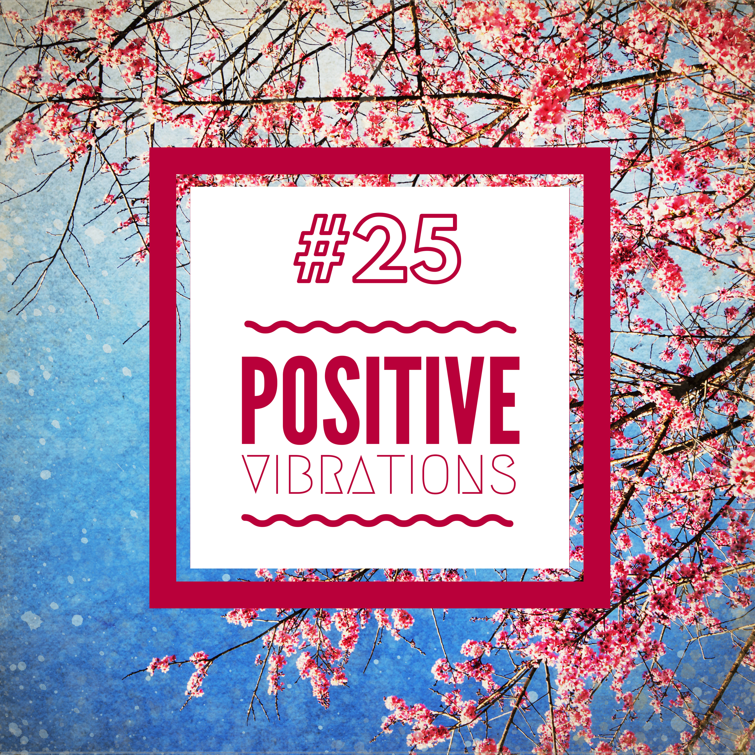 #25 Positive Vibrations