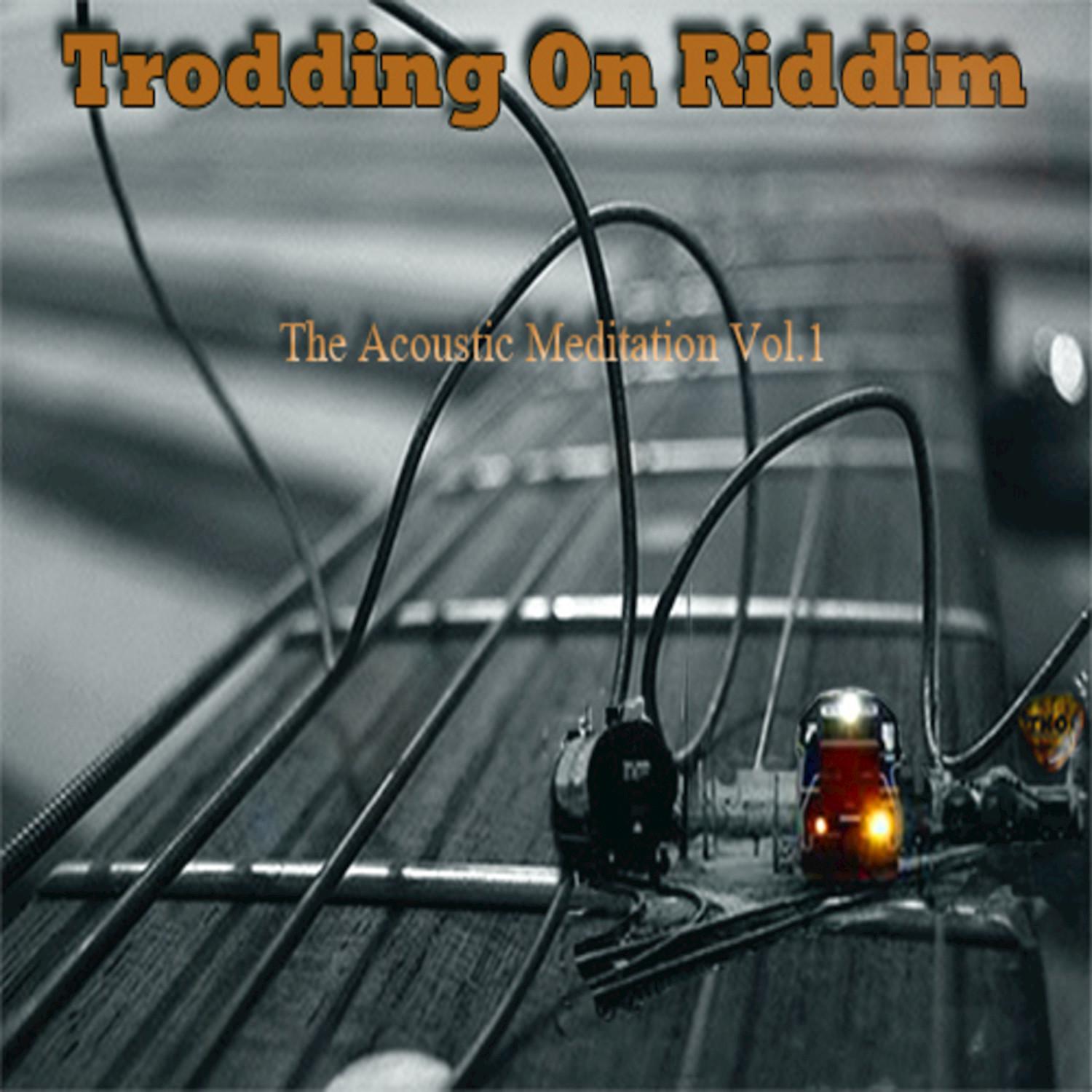 Trodding on Riddim (The Acoustic Meditation, Vol. 1)