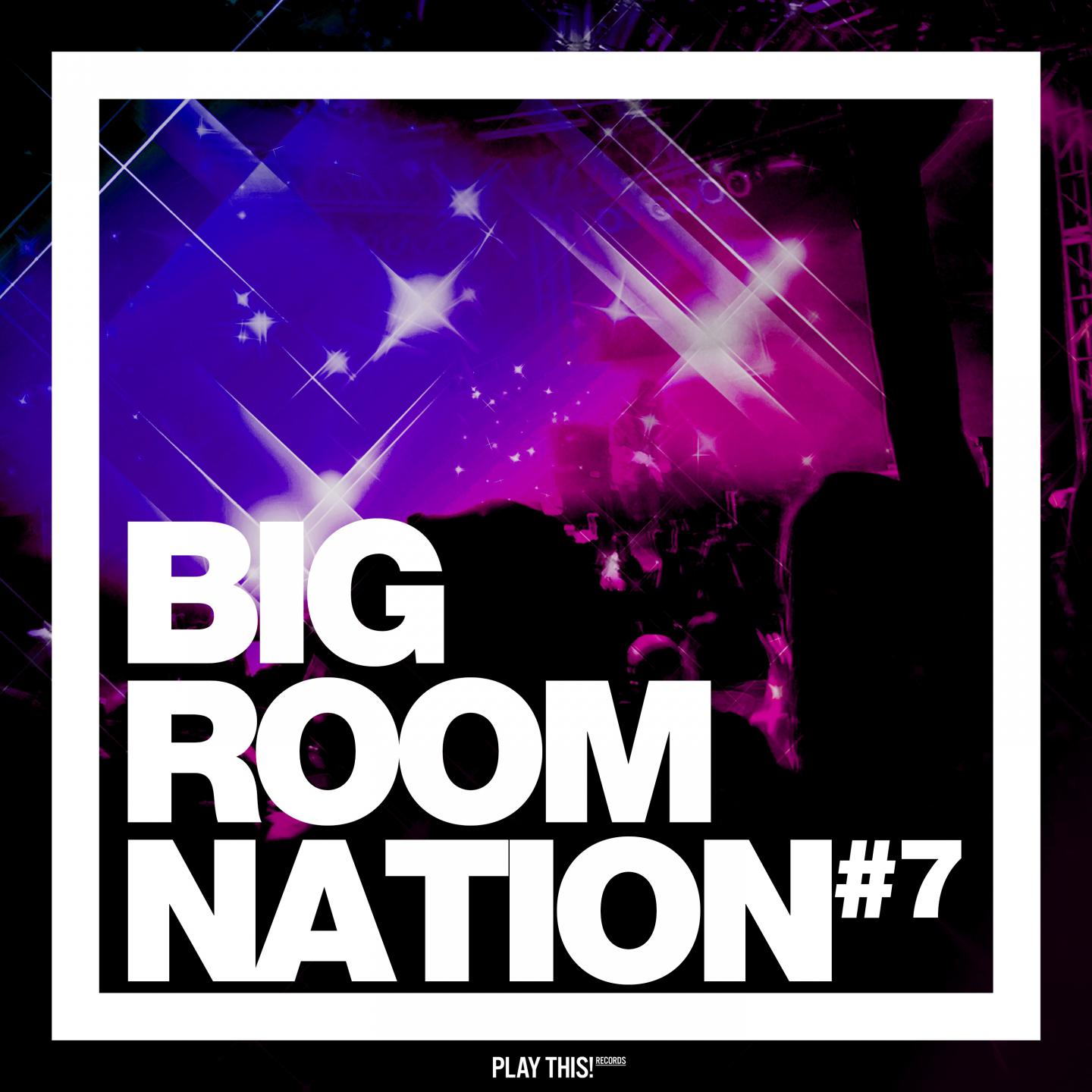 Big Room Nation, Vol. 7