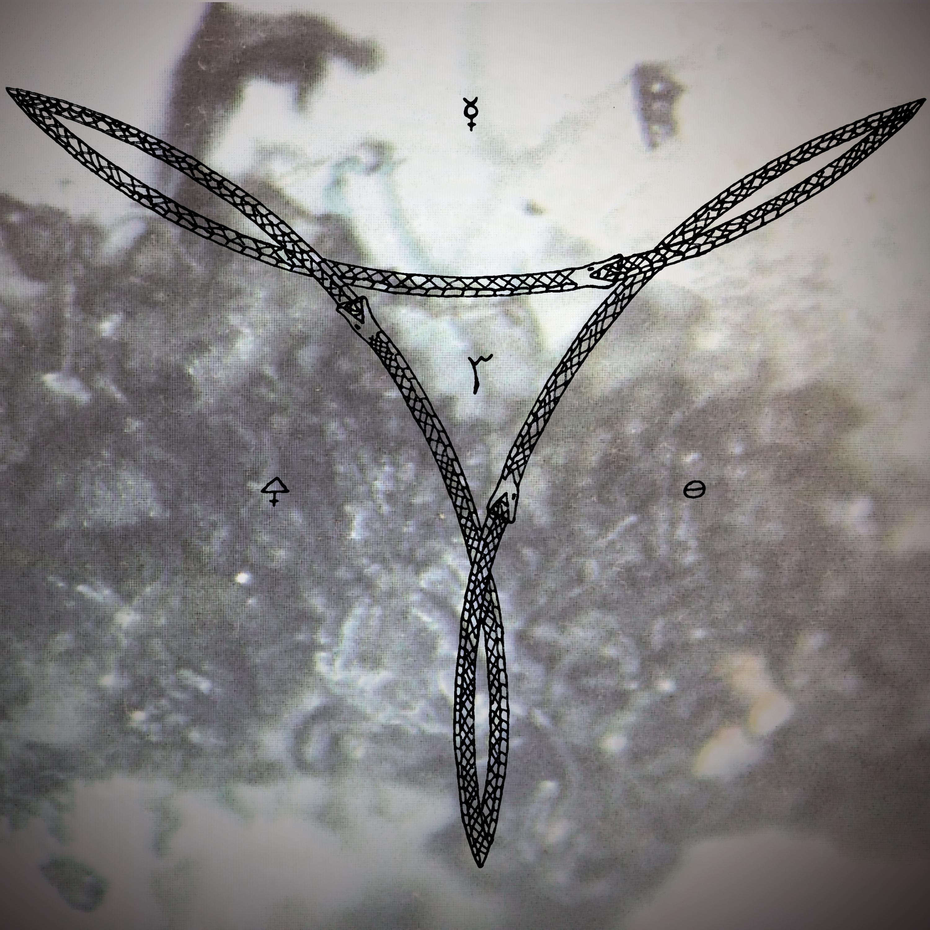 Katharsis