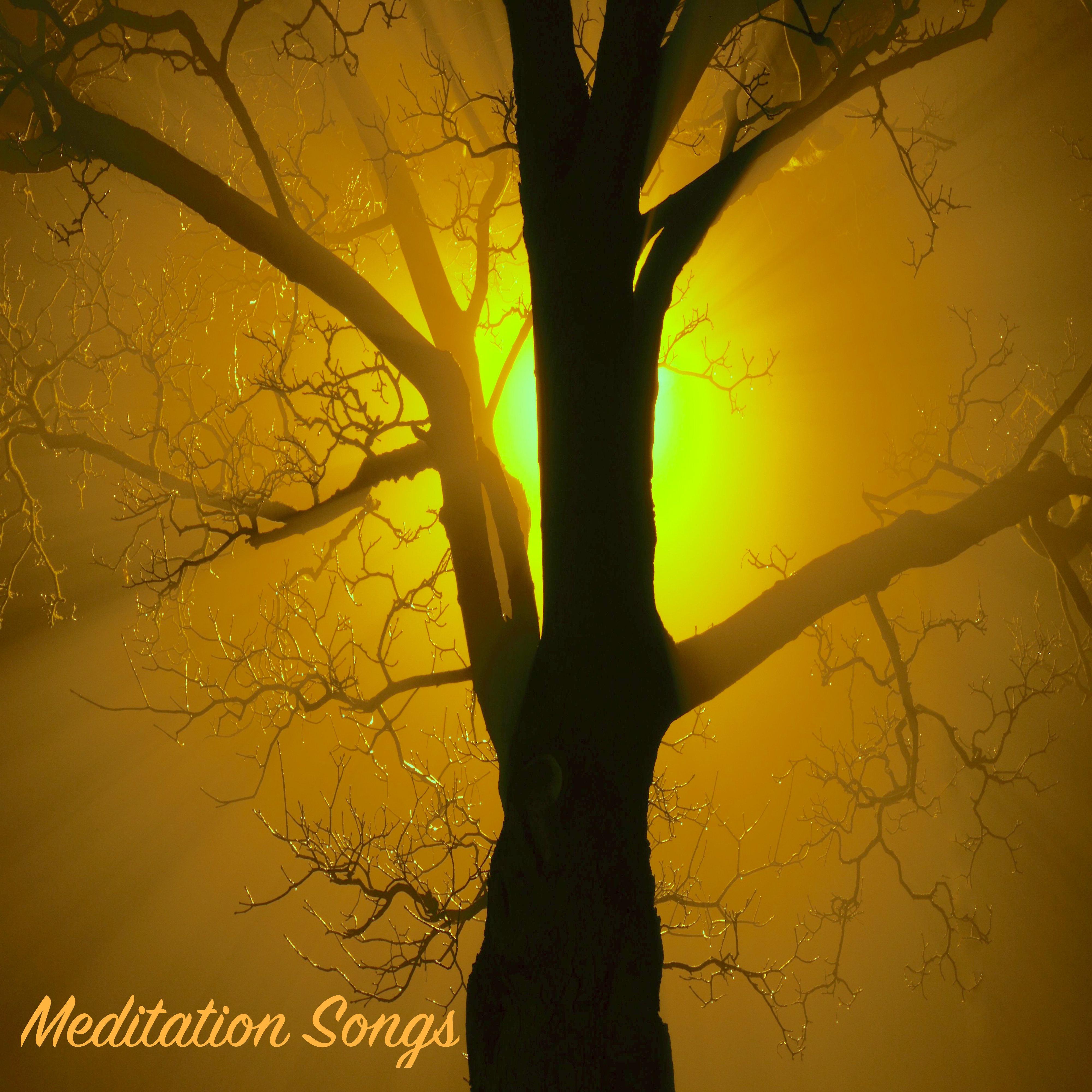 Meditation Songs for Relaxing Moments at Spa - Sounds for Body Massage, Intense Relaxation, Yoga Lessons