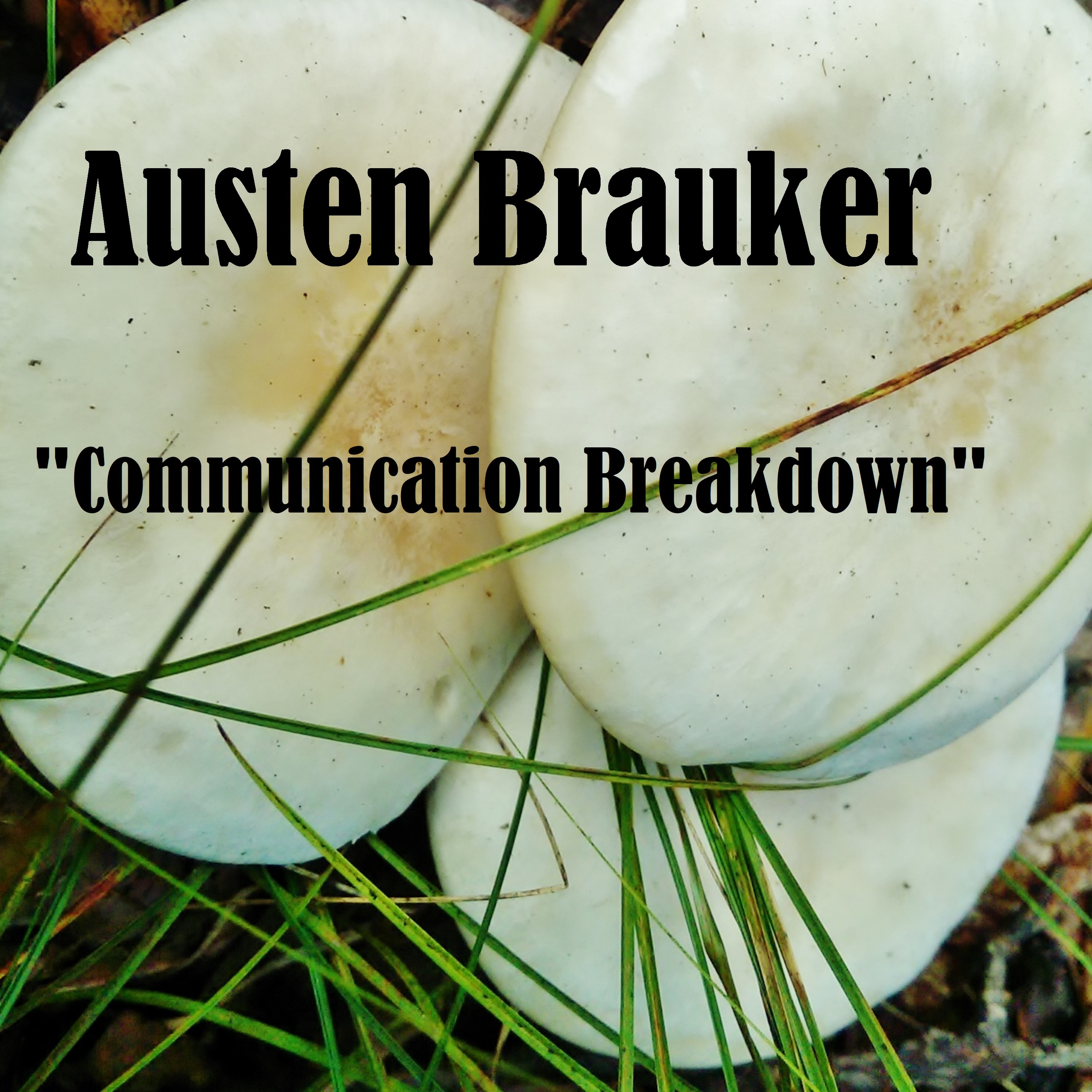 Communication Breakdown