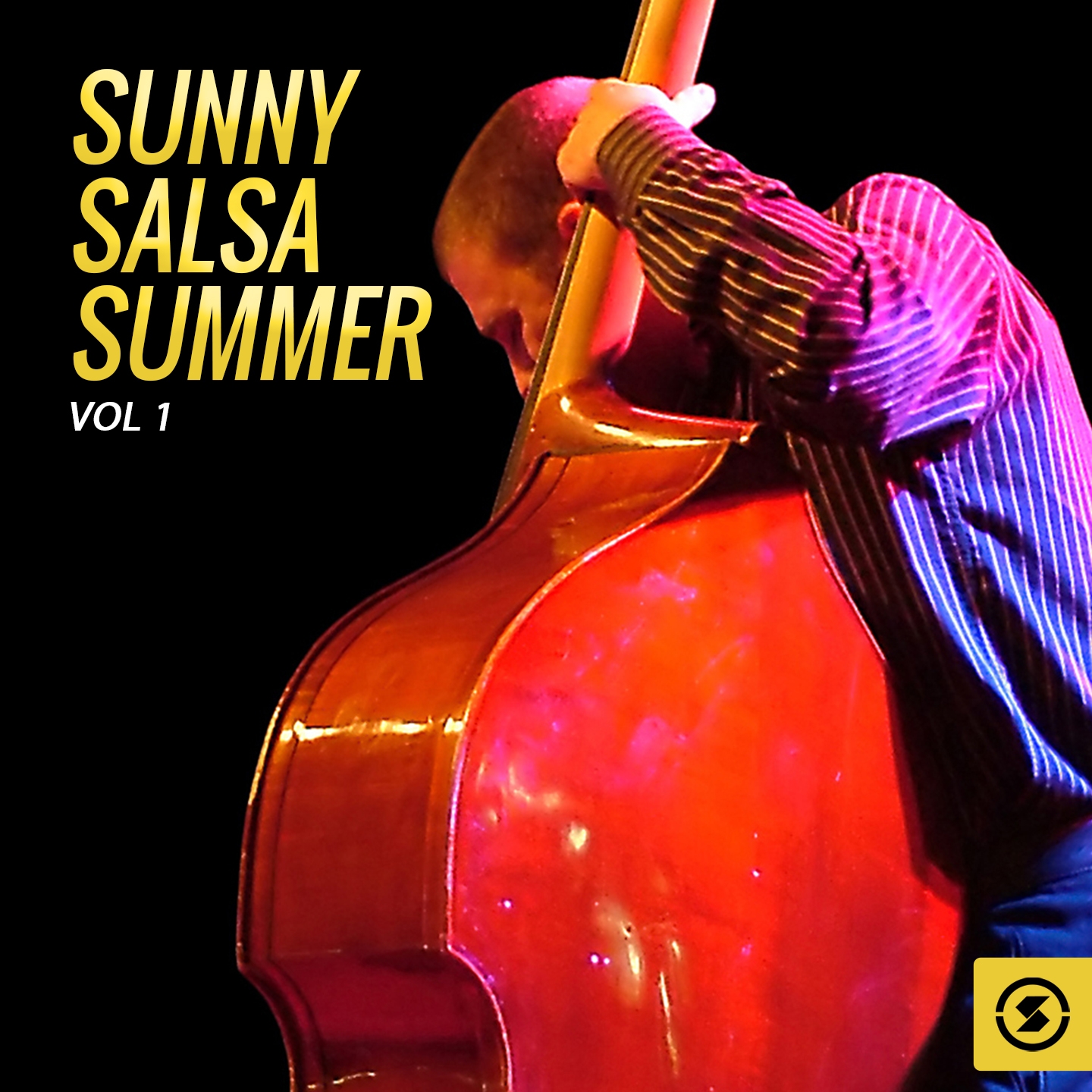 Sunny Salsa Summer, Vol. 1