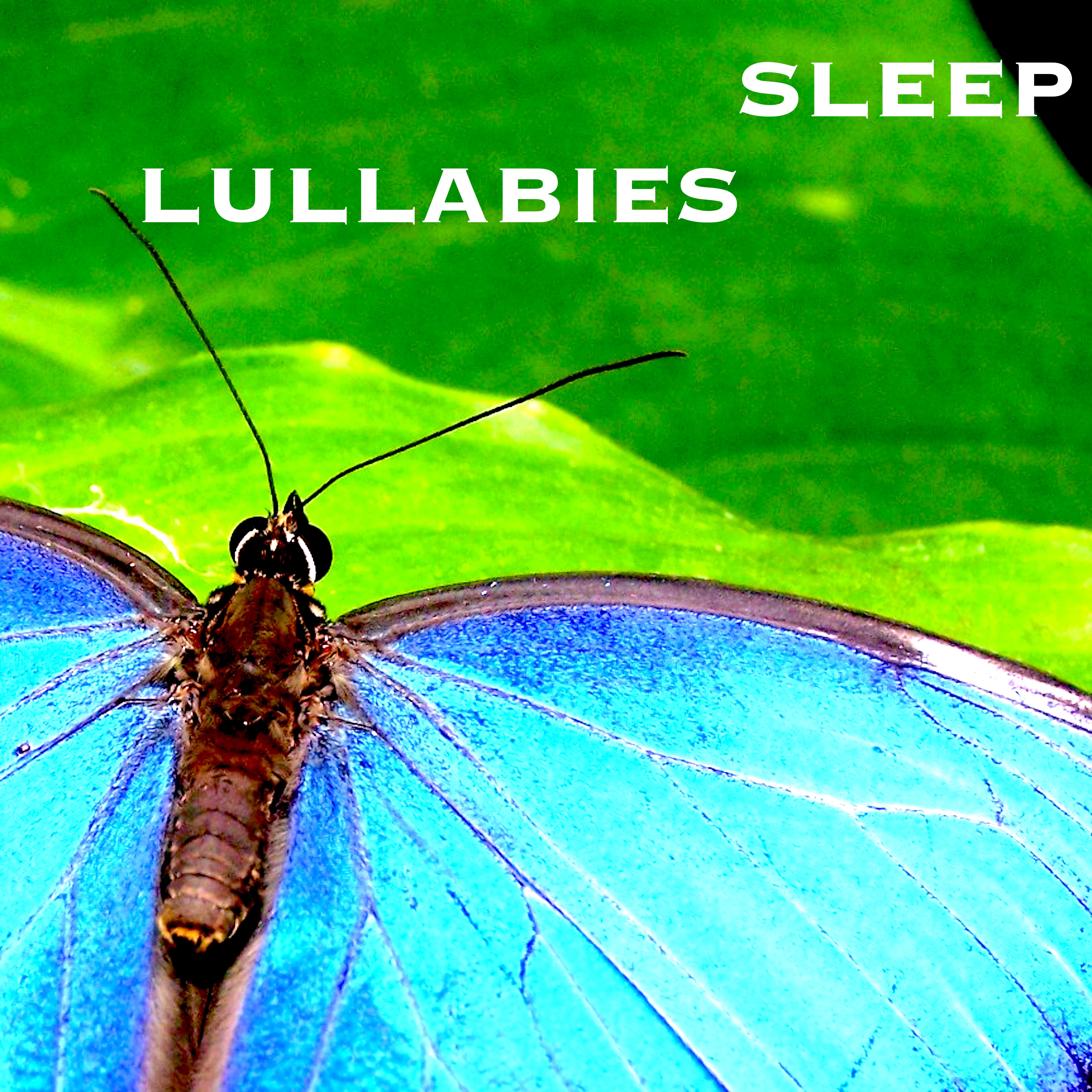 Sleep Lullabies: New Age Instrumental Music for Sleep Inducing & Mind Relaxation