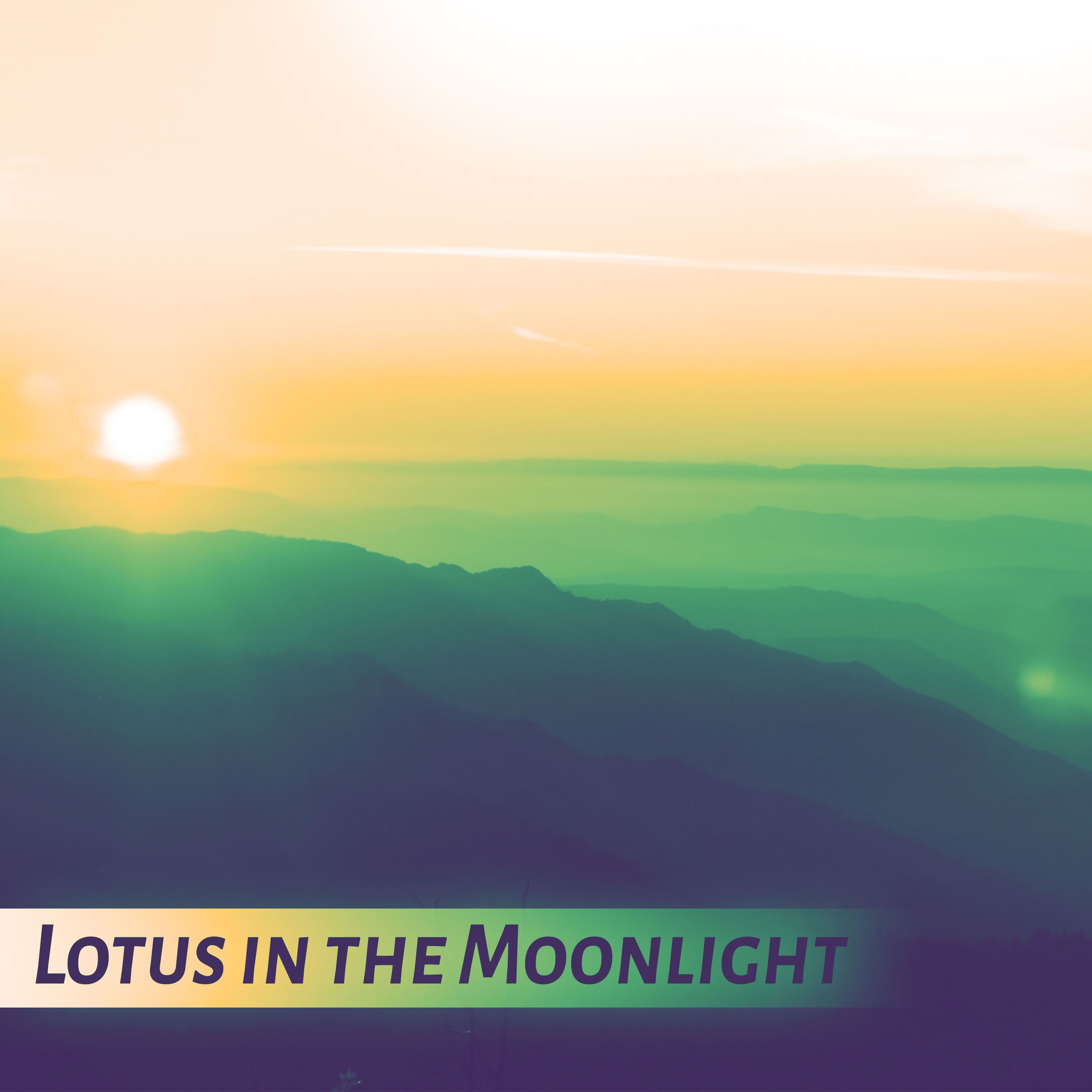 Lotus in the Moonlight - Relaxing Sounds and Long Sleeping Songs to Help You Relax at Night, Healing Through Sound and Touch, New Age Music and Nature Sounds for Stress Relief