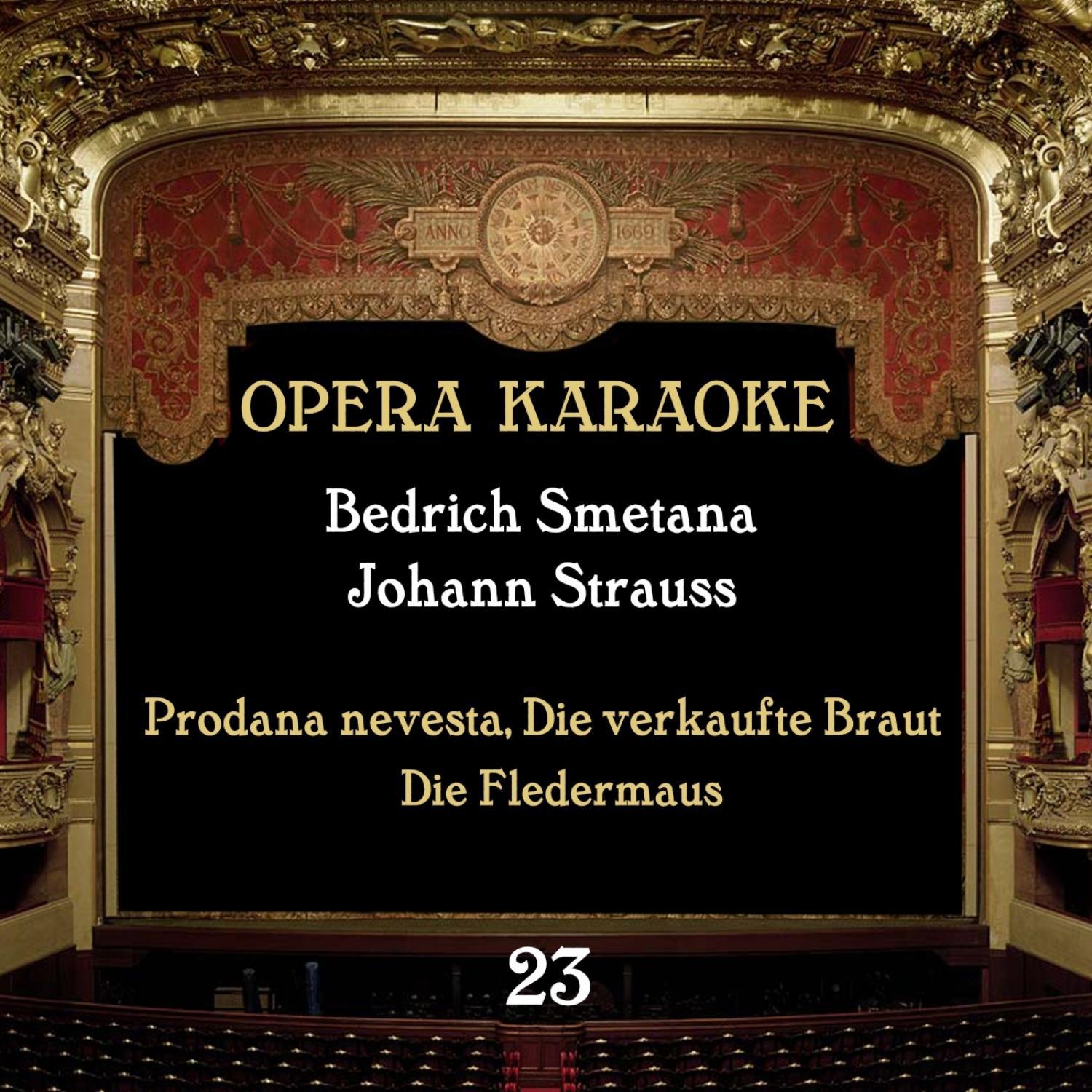 Opera Karaoke, Vol. 23 [Bedrich Smetana, Johann Strauss]