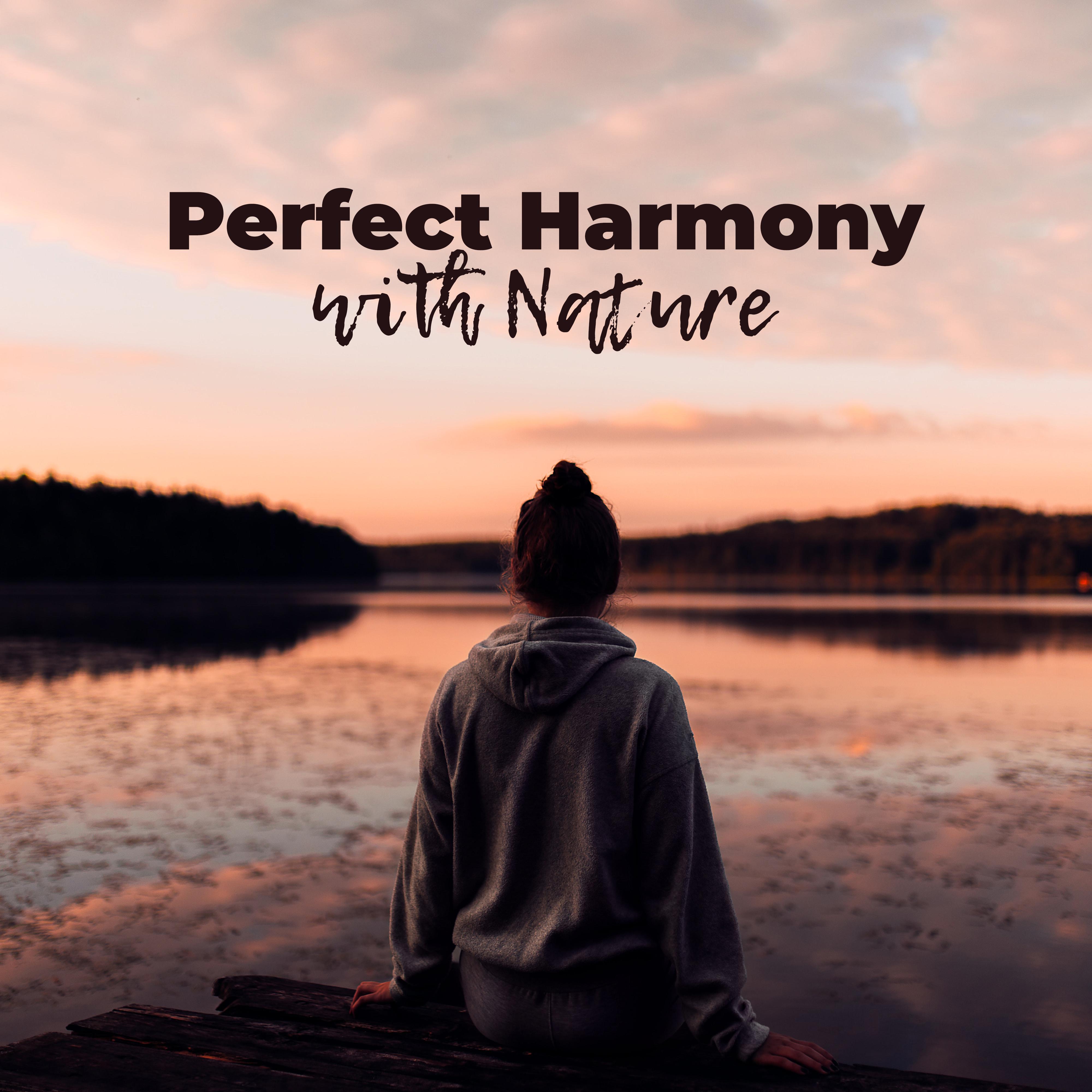 Perfect Harmony with Nature: Sounds for Meditation