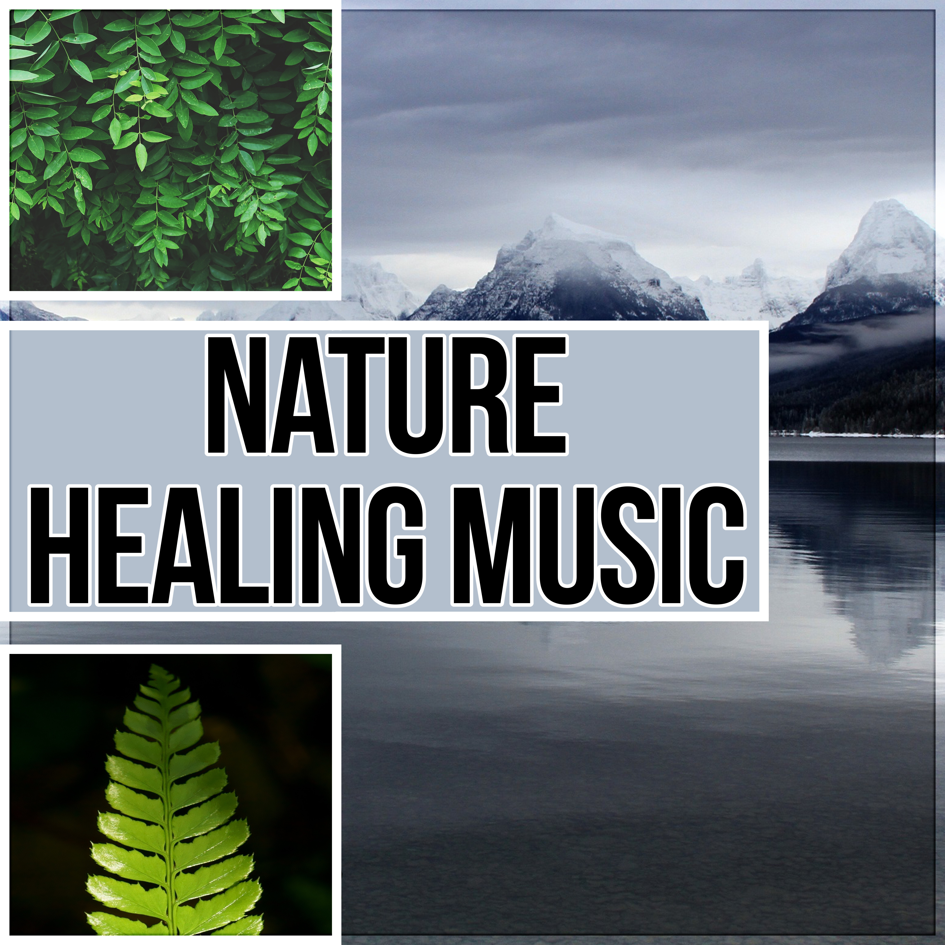 Nature Healing Music - Reiki Therapy, Massage Music, Inner Peace, Relaxation Meditation, Yoga, Spa Wellness, Regeneration, Body Therapy