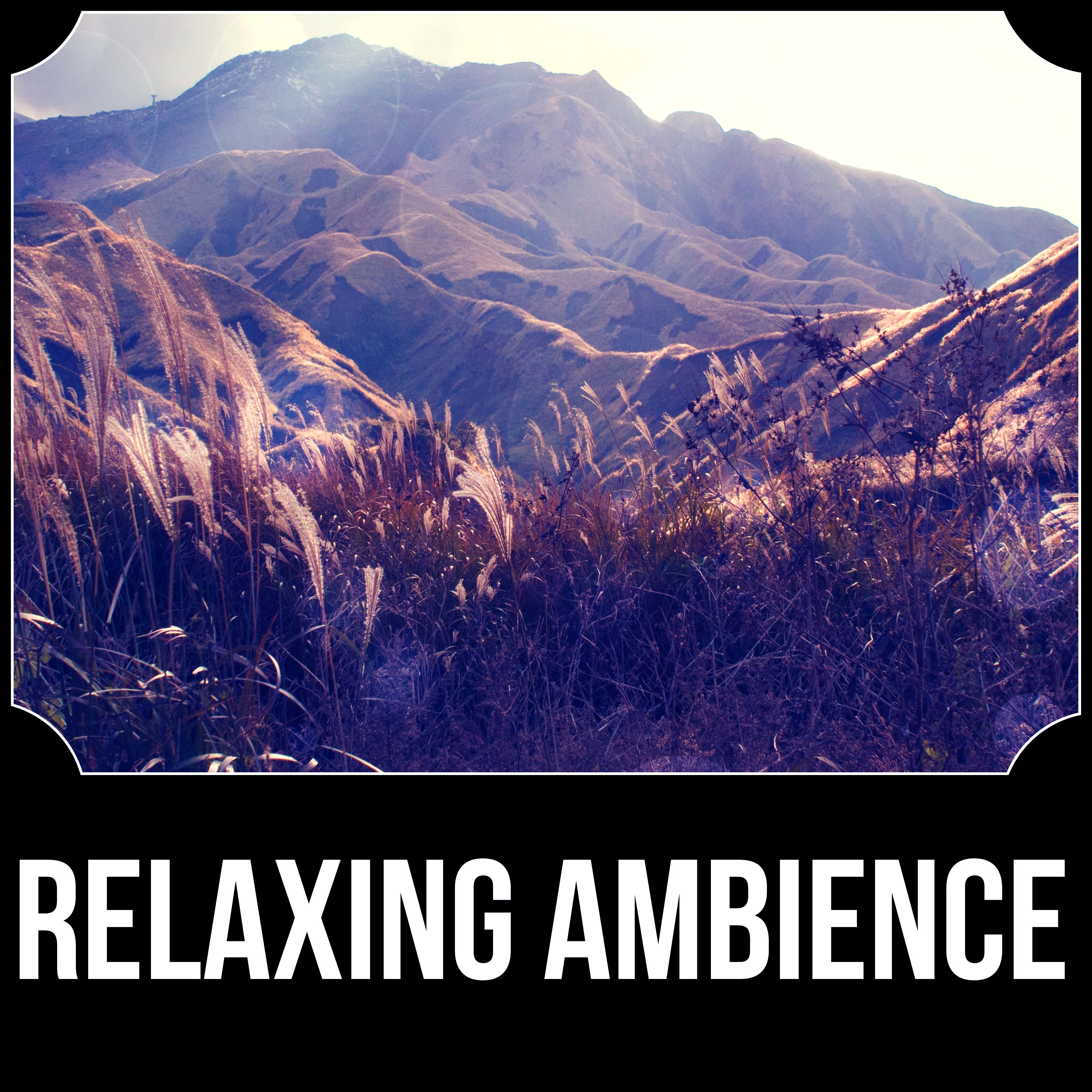 Relaxing Ambience - Serenity Spa, Meditation, Relaxation, Music and Pure Nature Sounds for Stress Relief, Music for Therapy, Healing Massage