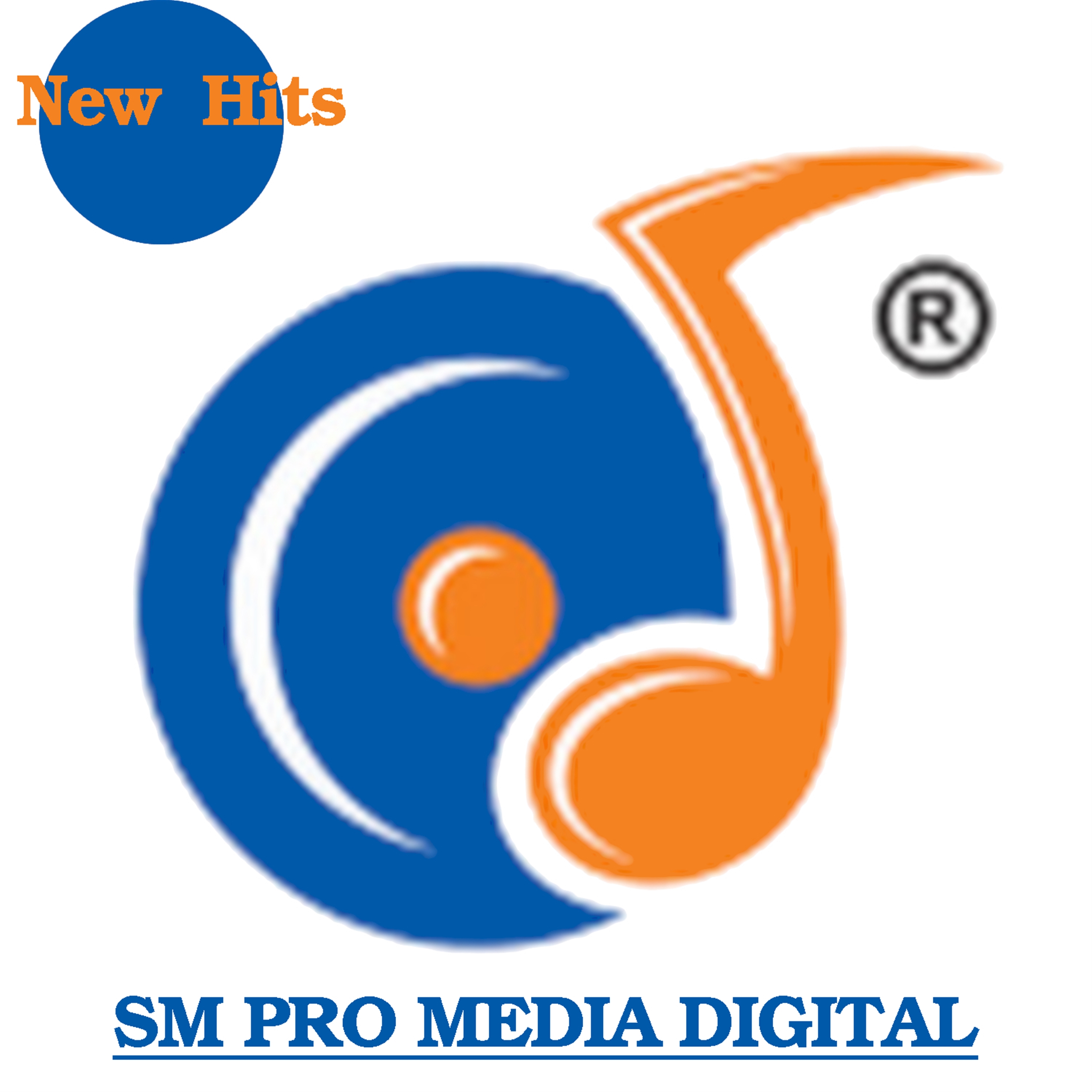 Sm Pro Media Digital New Hits