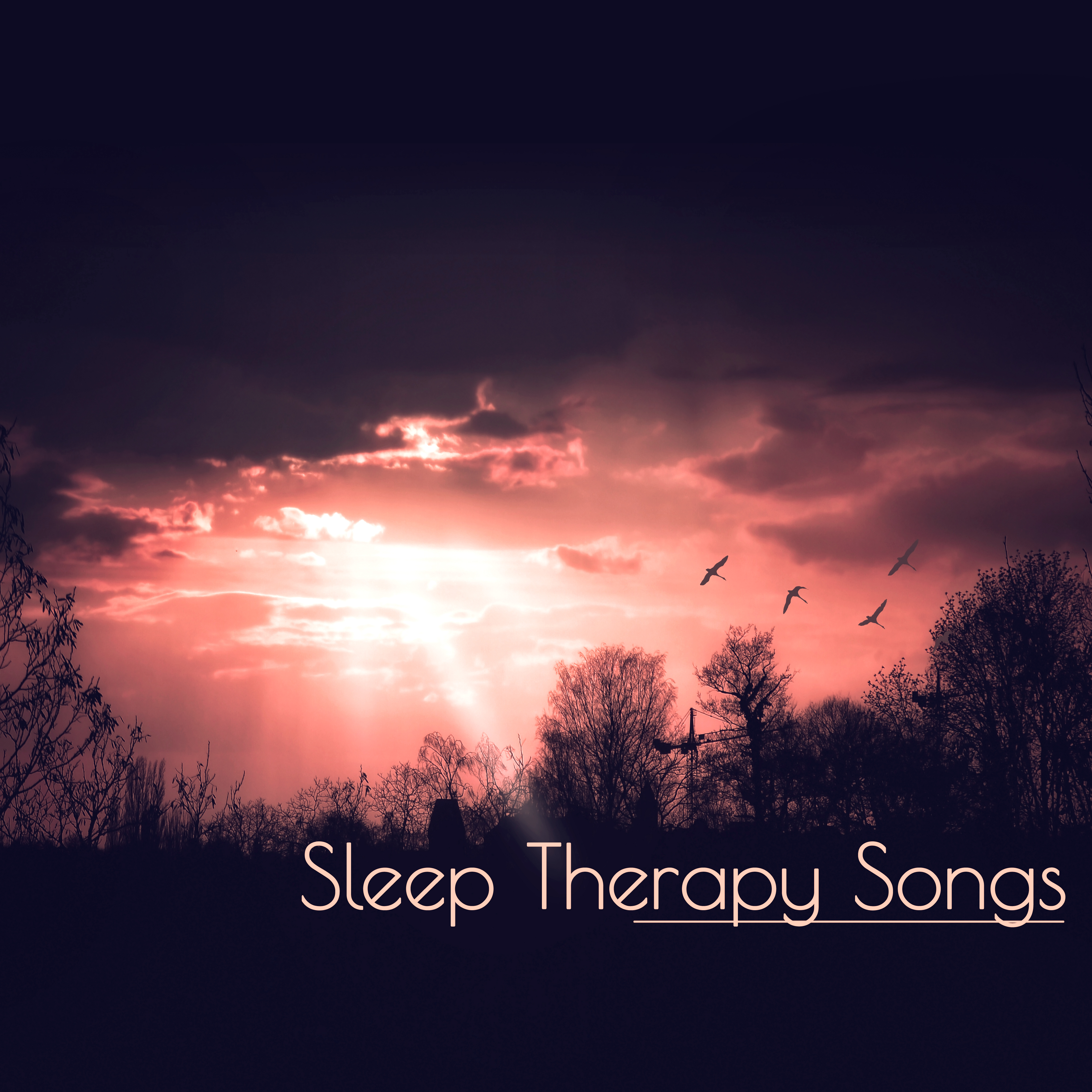 Sleep Therapy Songs - New Age Music, Relax and Sleep Songs, Nature Sounds, Bedtime Relaxation, Restful Sleep, Rem Phase, Sound Therapy, Stress Relief, Relieving Insomnia, Ambient Music