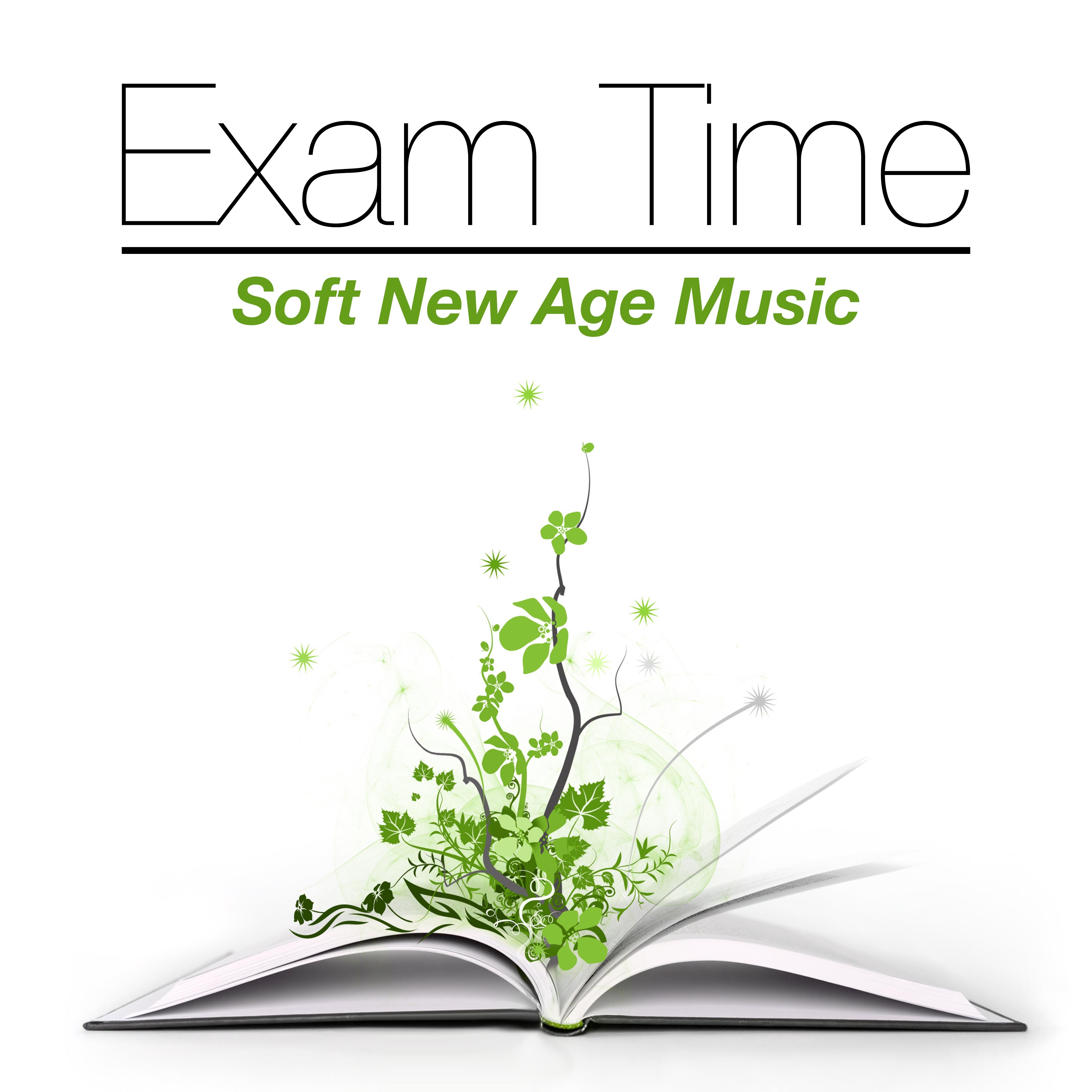 Exam Time - Soft New Age Music to Isolate Yourself and Read Better, Study More Efficiently and Improve your Mind Power