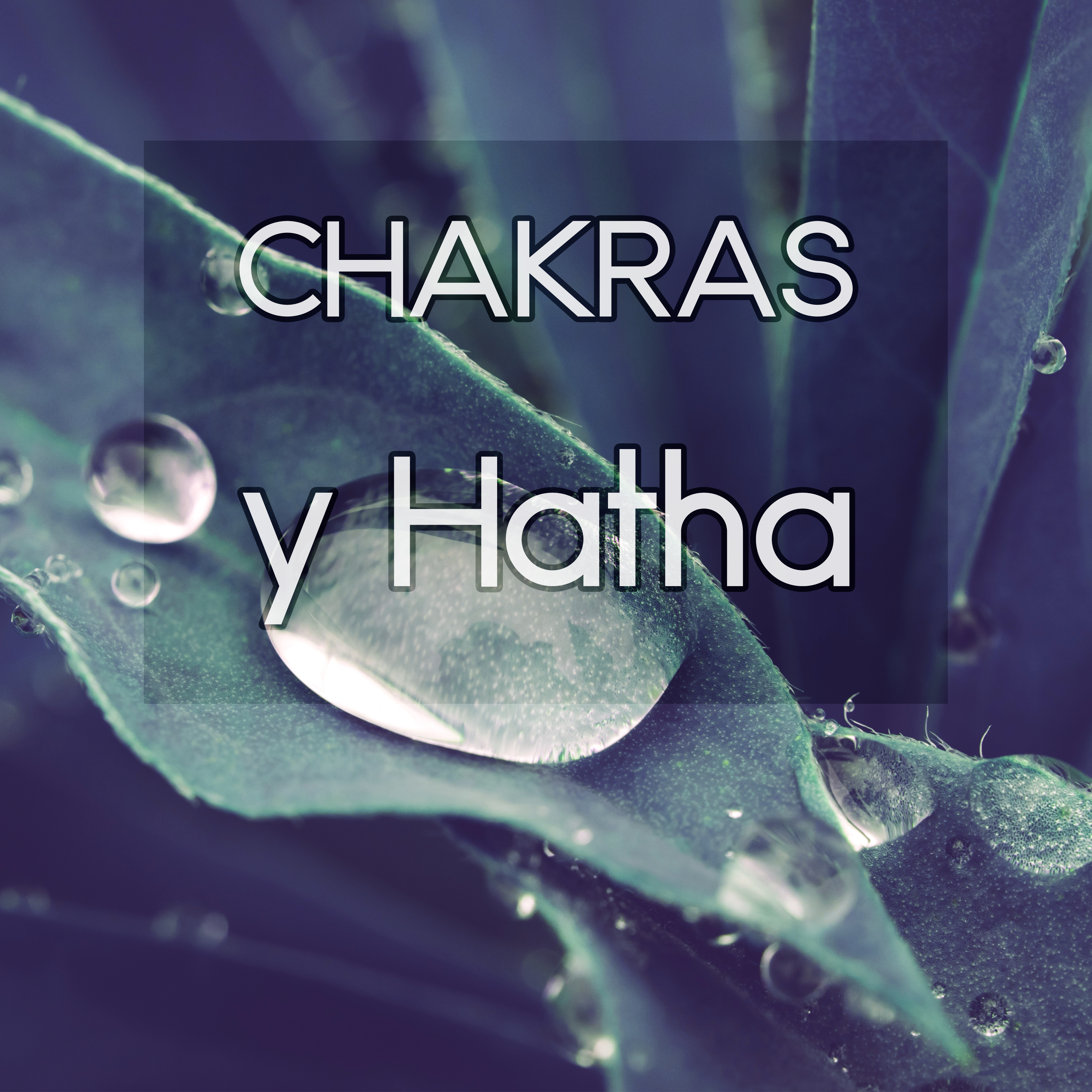 Chakras y Hatha  Mu sica Ambiental, Relajar el Cuerpo y el Alma,  Mu sica para Dormir, Pensamiento Positivo, Musicoterapia, Mu sica para Masajes, Meditar, Yoga y Reiki